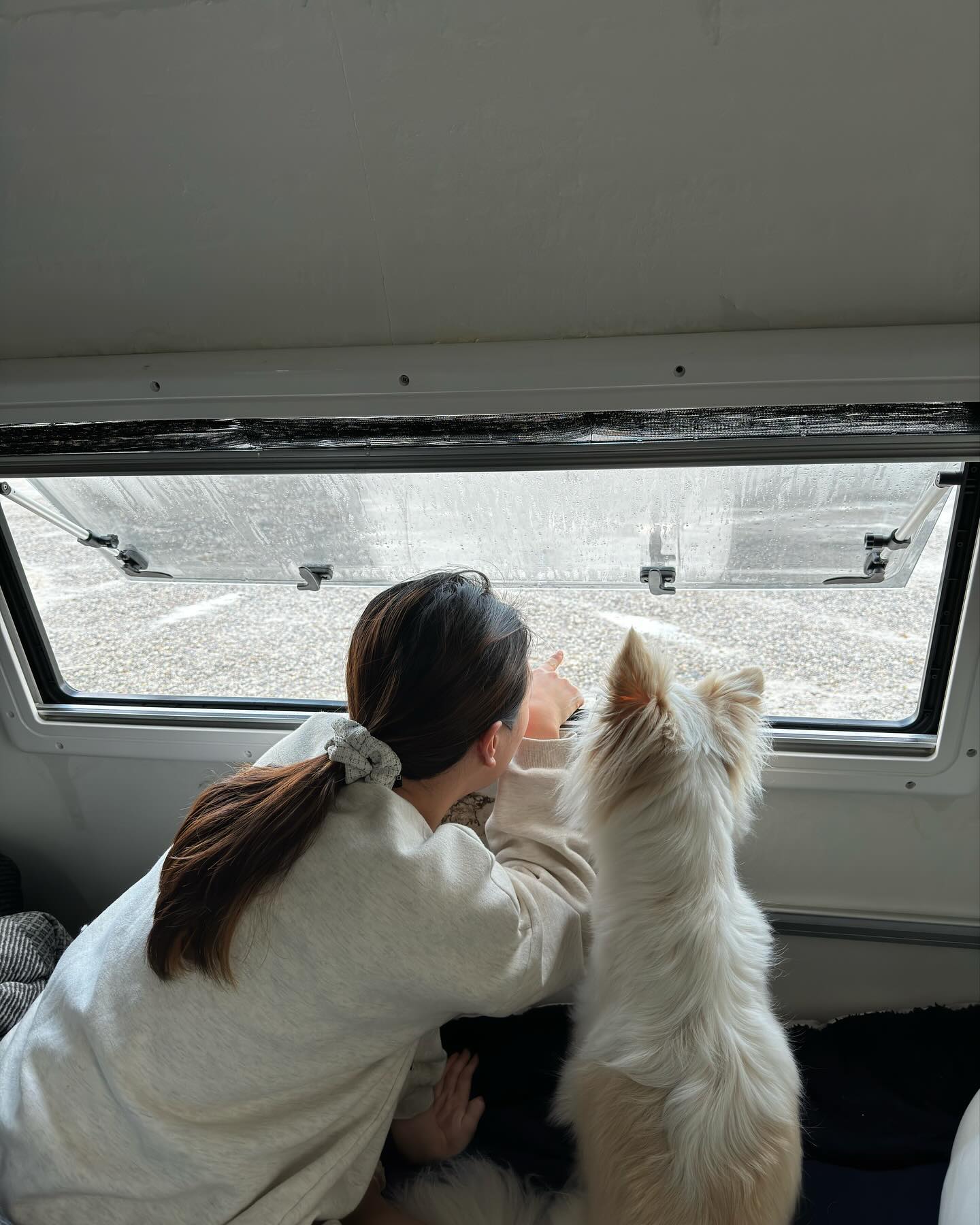 마요와 함께한 두번째 카라반 여행
3박4일간 알찼다
일출보고 칼국수먹고 일상으로 돌아가자~
새해에도 잘부탁해 마요😘