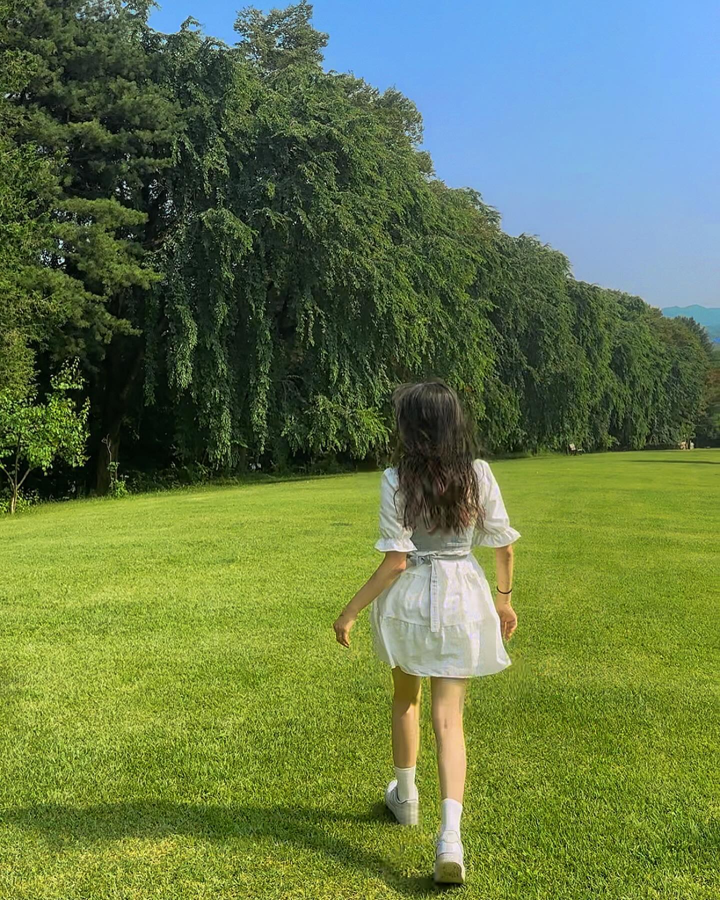 콘텐츠
