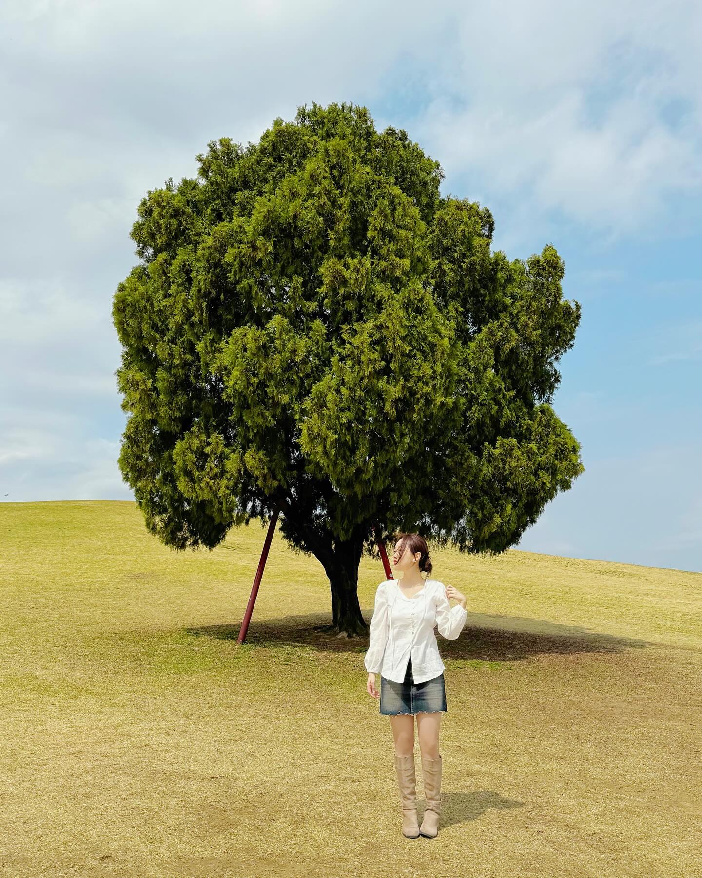 🌳