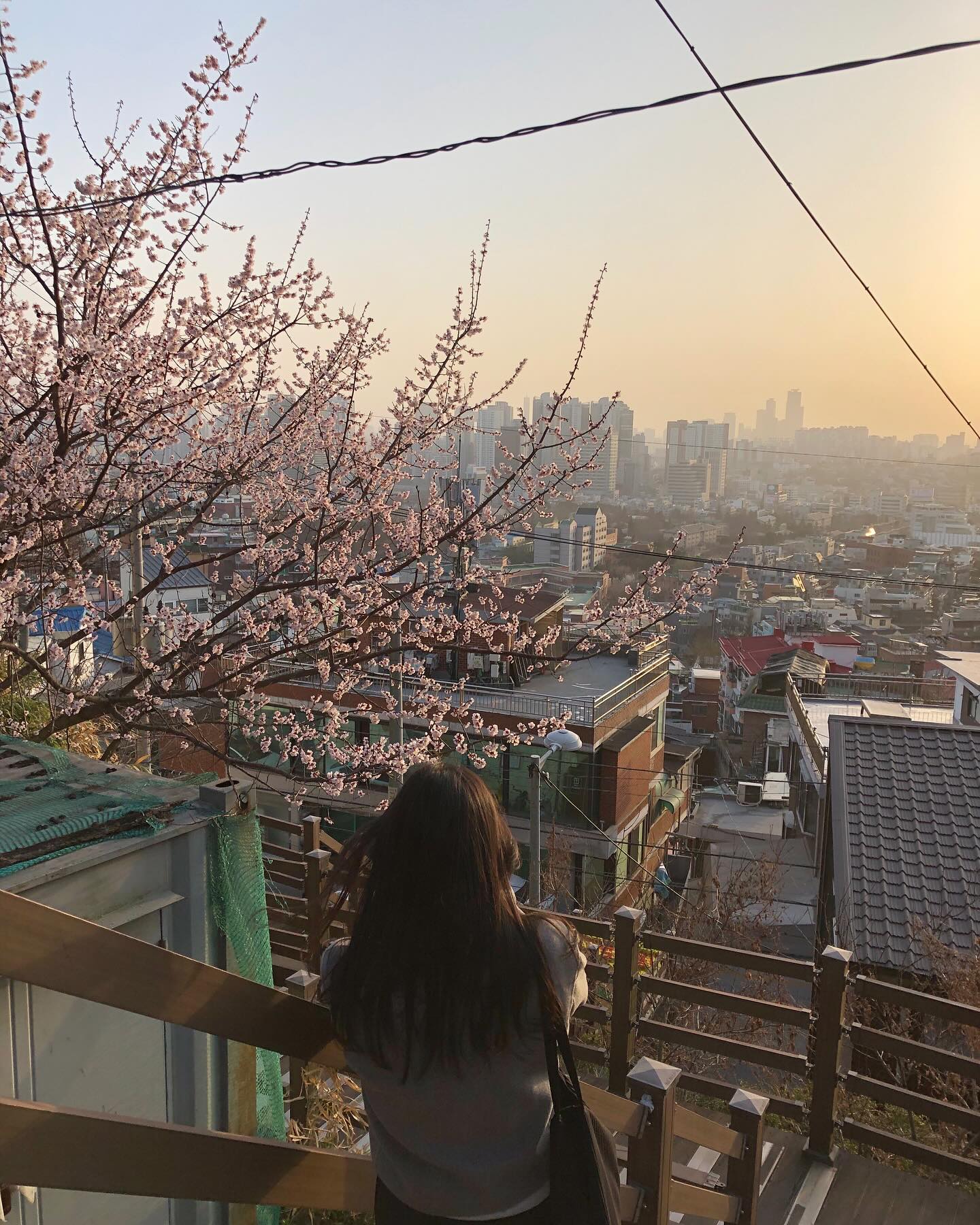 .
작년, 올해 벚꽃 사진 다 쌤이 찍어줬넹..🫶🏻
좋은날 좋은사람들과🥂

ooo__llm
i_am_sinaee