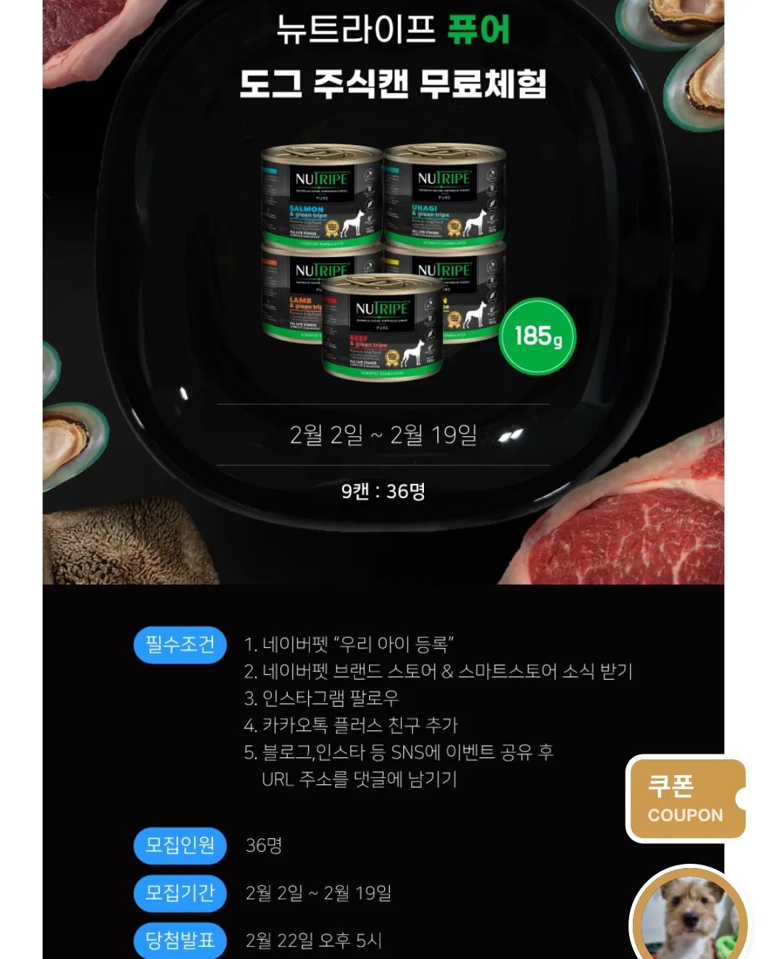 뉴트라이프캔 체험단 공유합니다🥰

#뉴트라이프캔 #뉴트라이프강아지 #산시아코리아 
#강아지캔사료 #강아지습식사료 #그레인프리캔

​