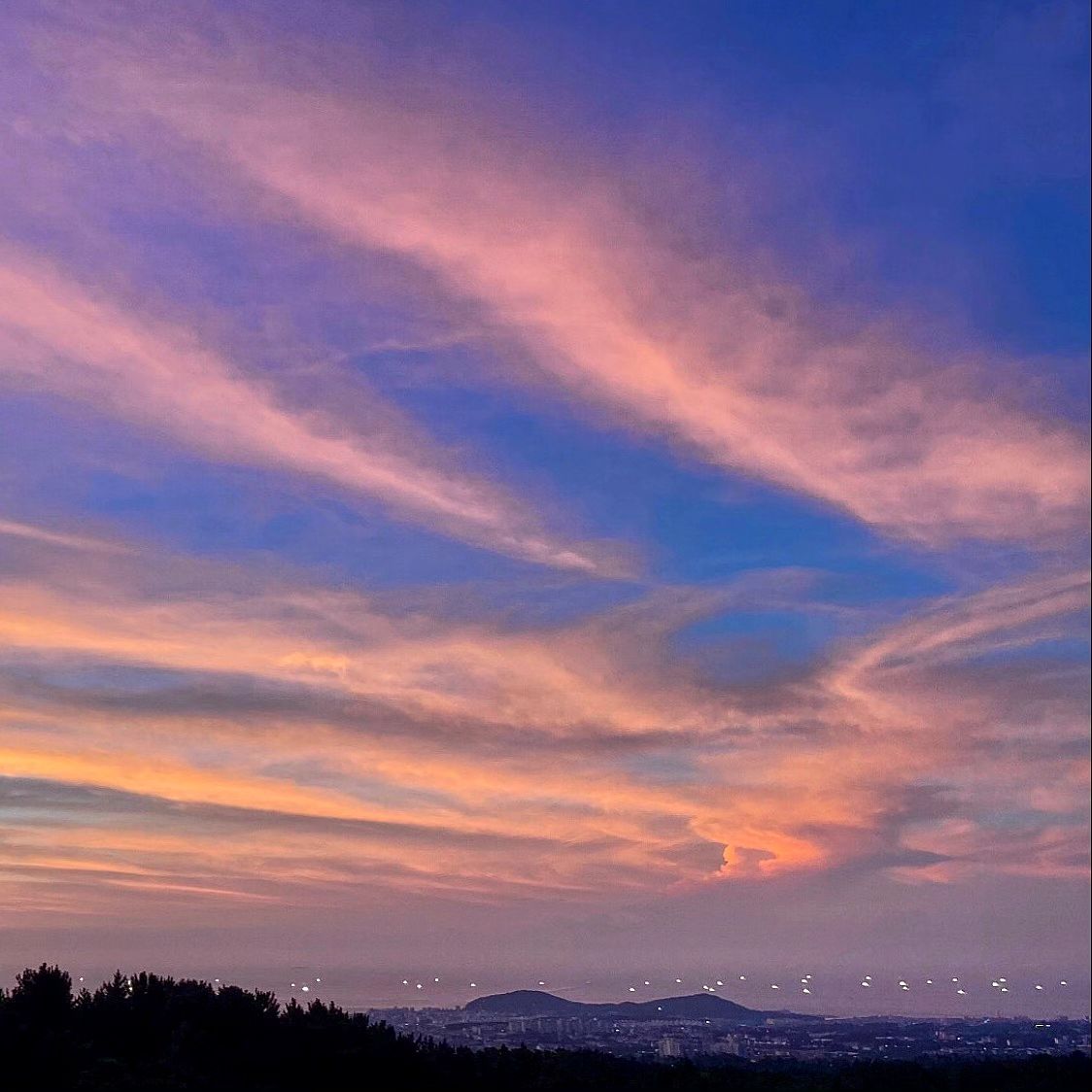 콘텐츠