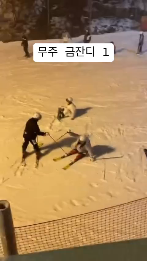 콘텐츠