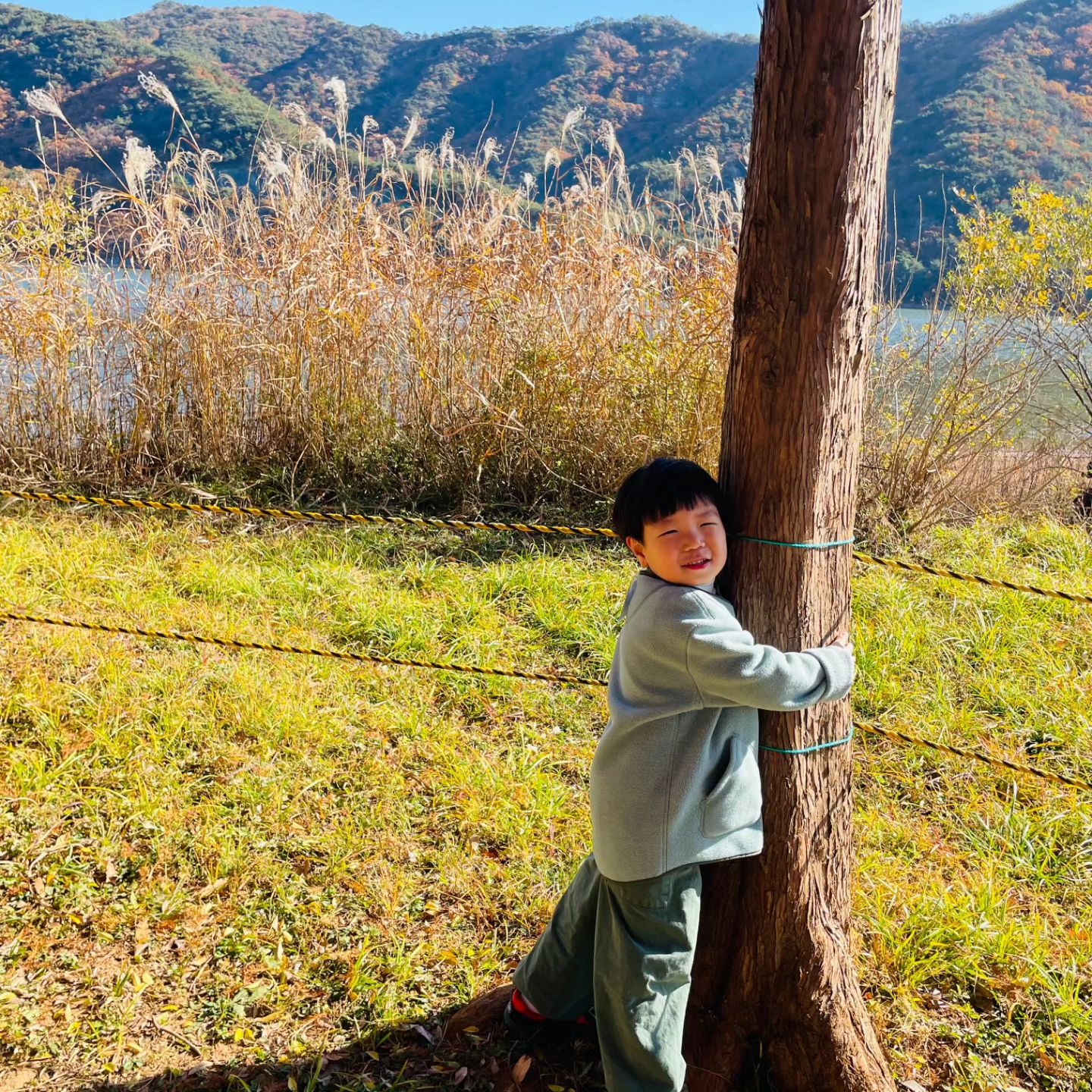 선생님 말 
너무 잘 듣는
장꾸 아들🩷🧡❤️

저런포즈의 사진은 
선생님만 가능🤣
.
.
#아들
#아들맘
#가을산