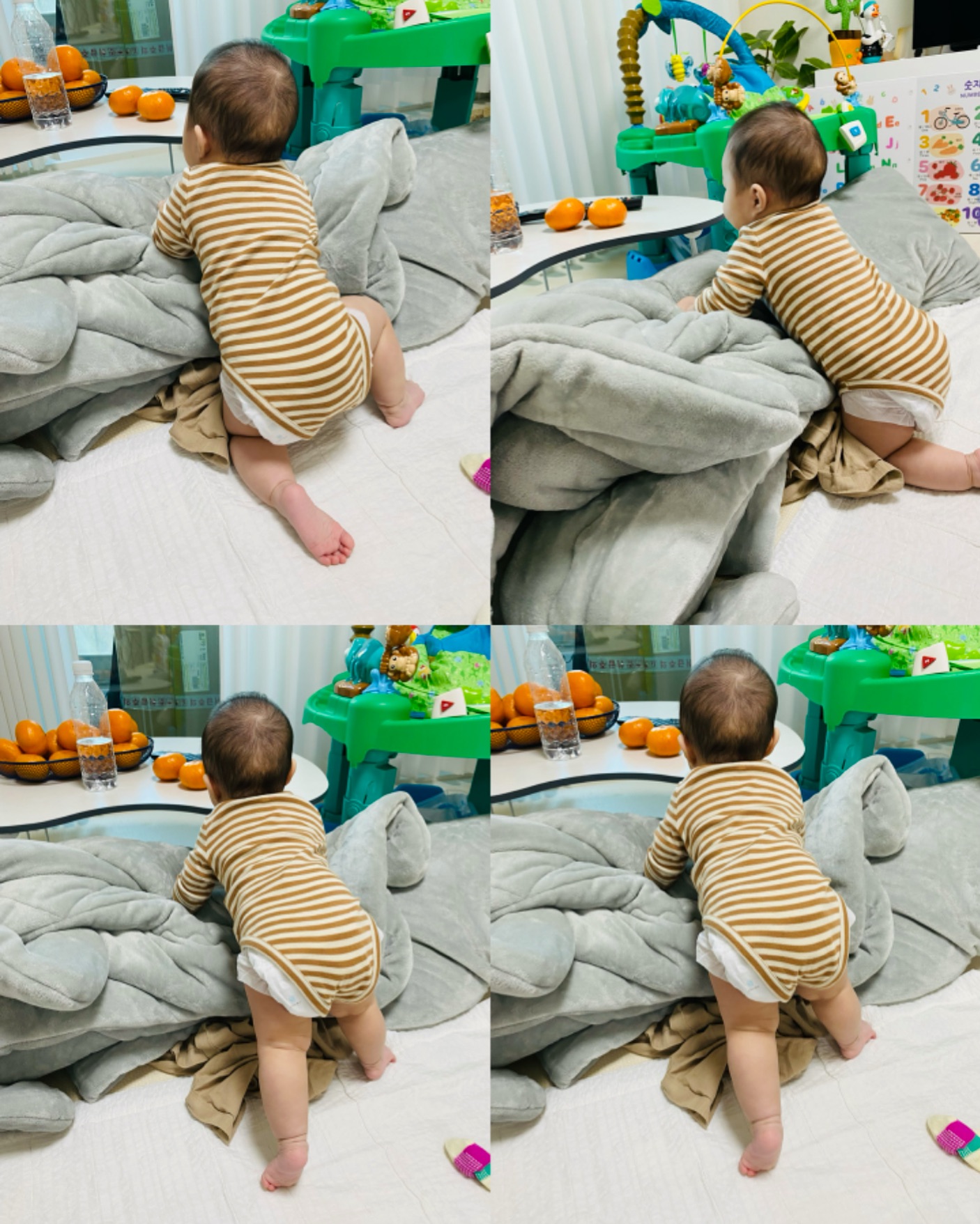 .
D+212 우리 예삐 잡고 일어났오 👀👀

이제 직립이 가능하구먼 ,,,
곧 ,, 보행도 하겠네 ,,,,,,,,,??

배밀이 하다가 이렇게 급 성장하기냐
귀여운거 오래오래 보고싶은딩 🥹🥹

잡고 서는거 보고 급하게 찍는다고
배경이고 뭐고 없다 ㅋㅋ
처음 서는걸 찍는거에 만족해 ㅋㅋ

오늘도 너로 행복했어 ❤️

#육아 #육아일기 #육아기록 #성장일기 #발달과정