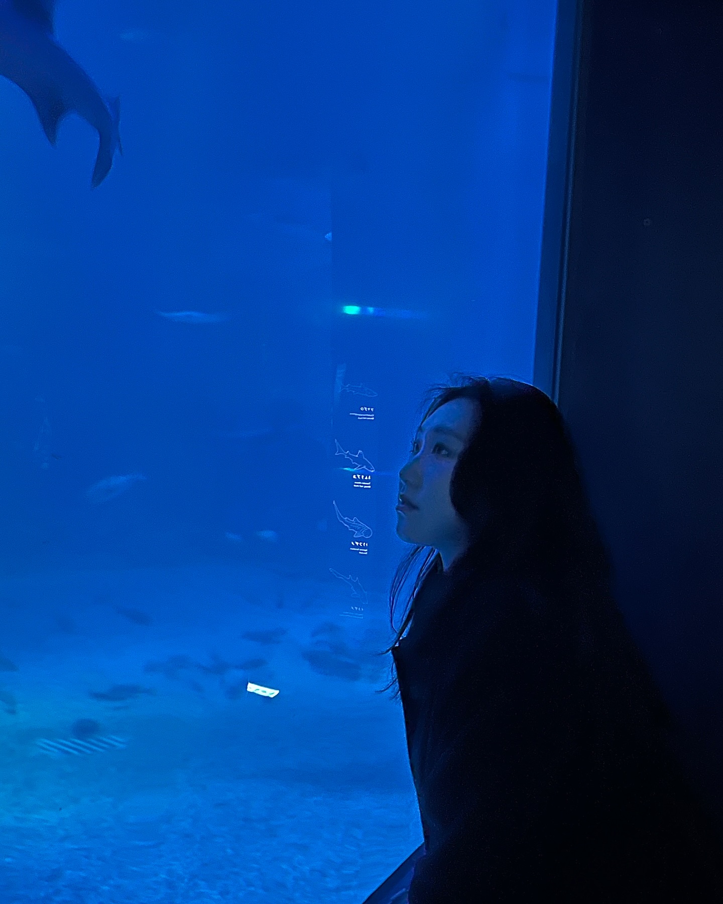 콘텐츠