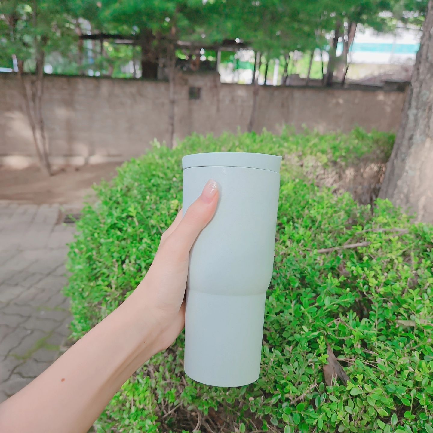 #협찬
목분당 자연분해소재 텀블러에요 
무광 파스텔톤 컬러라 부드러운 느낌의 텀블러죠 
두께감이 무겁고 내구성이 좋아요 
스테인레스 텀블러 대비 따뜻하고 견고! 
자연분해 소재라 플라스틱 줄이기에 동참할 수 있어요 !
선물용이나 단체이벤트 상품용으로도 추천해요 
bottletree.co.kr
#협찬 #친환경텀블러 #자연분해텀블러 #텀블러주문제작 #목분당 #친환경보틀 #보틀트리