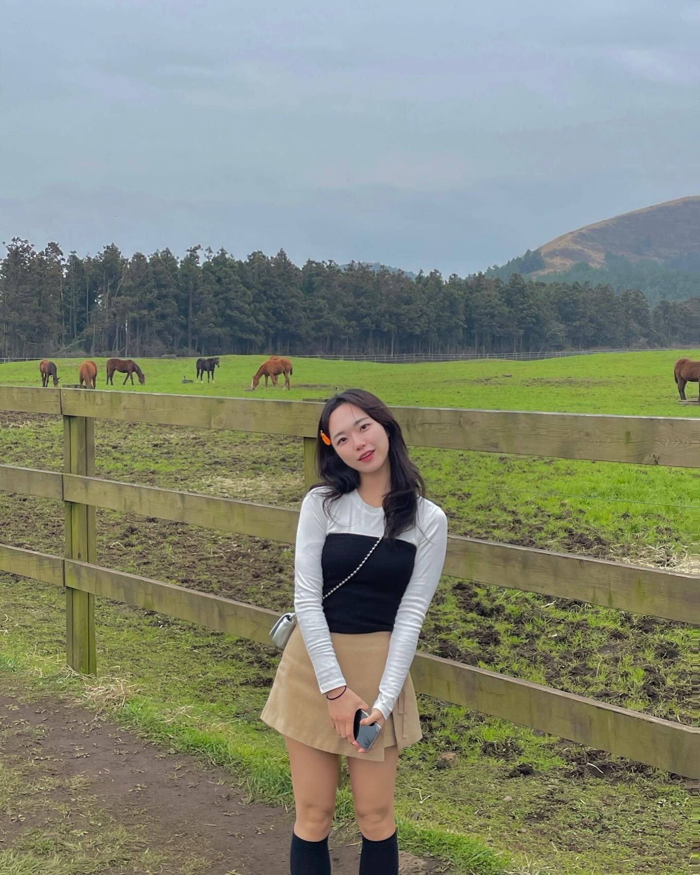 제주도는 살짝 봄이 온 것 같아융 살짝!
마지막은 말 보고싶어서 뛰는 나