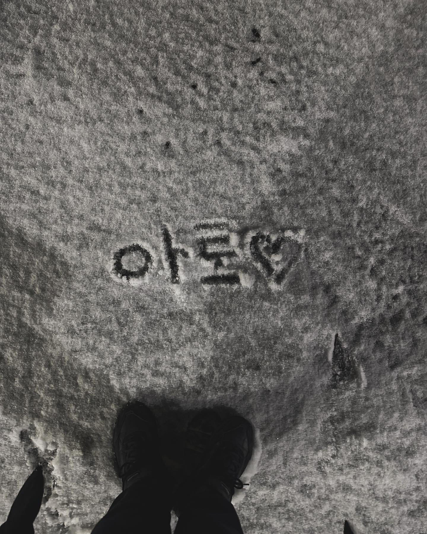 #눈이 오네~❄️
아토는 잘 있찌~❤️