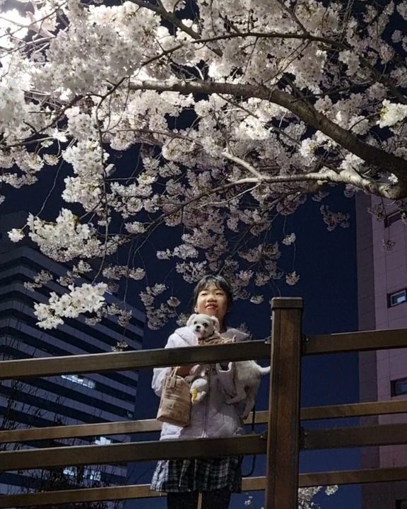 오늘은 밤산책 👩🐶

꼭대기까지 올라가고 싶었으나 아직 내 몸이
다 회복된 게 아니라서 간단하게.. 😅

감자와 유리 둘 다 사진 찍기 힘들다ㅜ

오늘은 사람이 은근 많았음!
토요일ㆍ일요일에는 더 많겠다~

#벚꽃 #🌸 #밤산책
