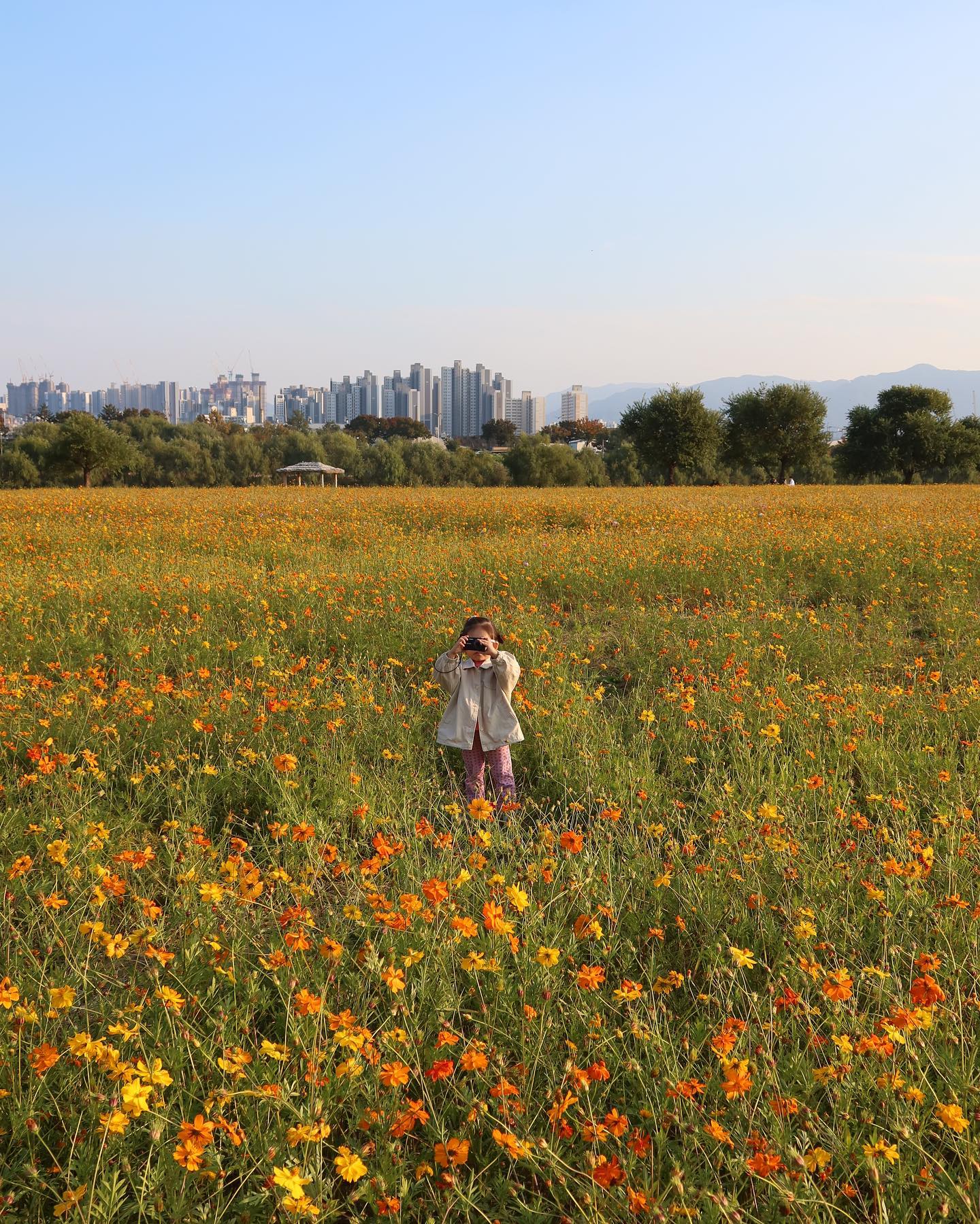 율이랑 엄마랑 아빠랑 다녀온 하중도 🌷🌹🌻💐
오랜만에 카메라 챙겨서 나갔는데 역시 카메라가 좋긴 하다!
마지막은 율이가 찍어준 나 😊