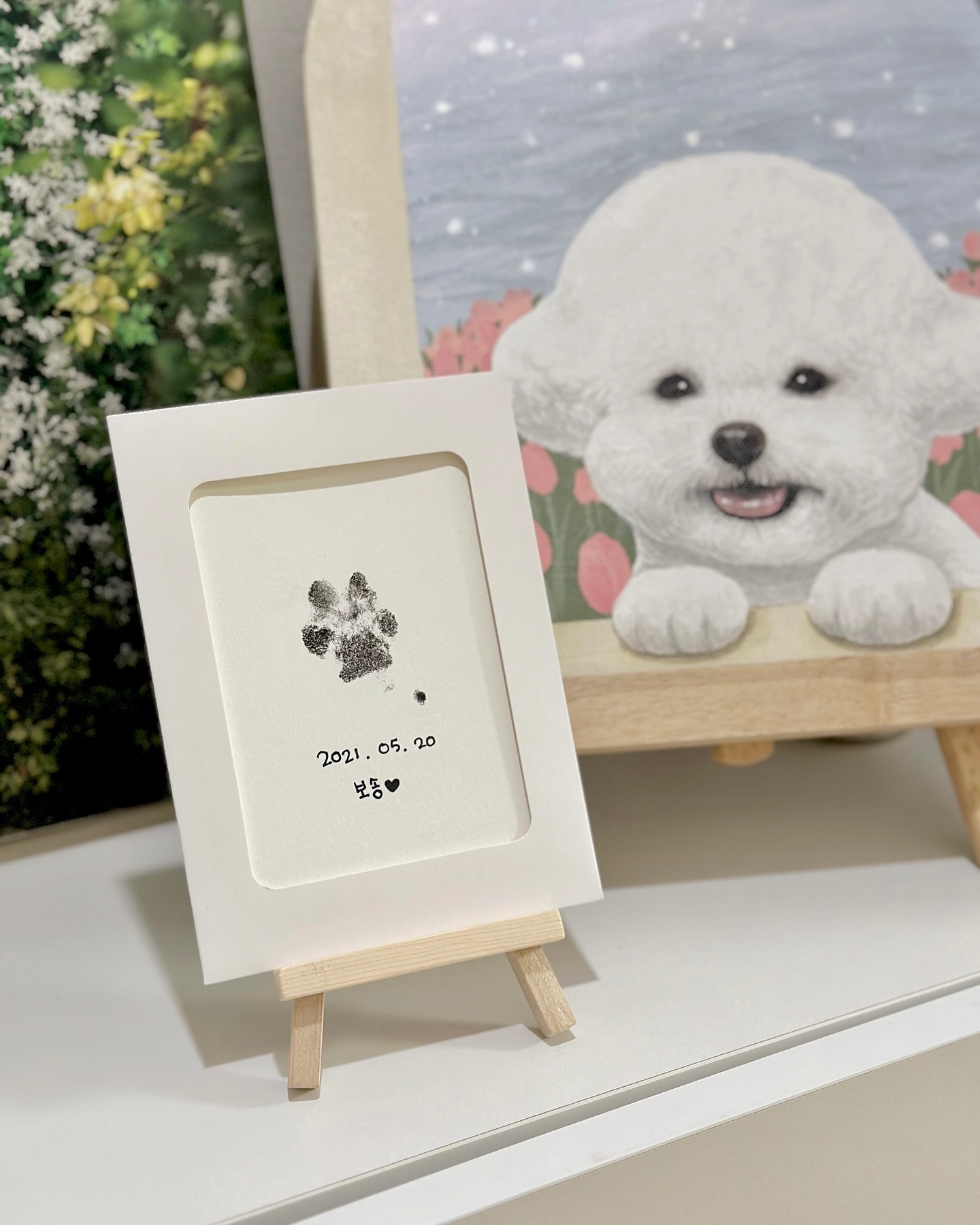 릴스에서 강아지발바닥 남기는 영상을 우연히 보고
발도장세트 구매해서 따라해보앗어용🐾
발에 잉크를 따로 묻히지않고 찍을수있구요 !
구매한지는 꽤 됐었는데, 발가락 털이랑 발톱이 짧아야 
예쁘게 찍힌다고해서 미용하고나서 찍으려고 아껴뒀다가 
드뎌 오늘,,♡♥!! 
어때요 예뿌죠?🤍ྀི