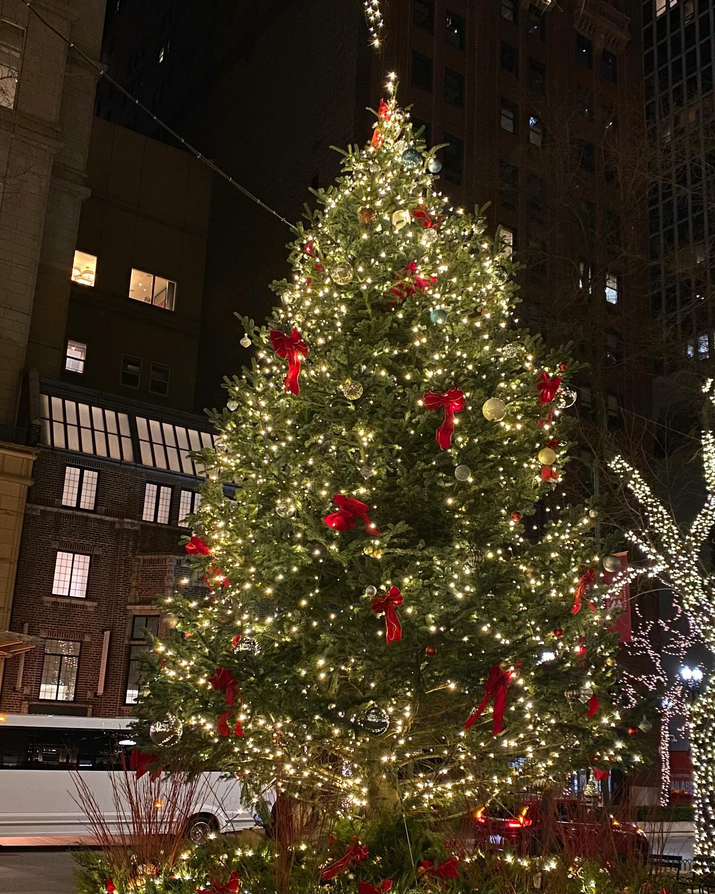 ✨ #chicago in December