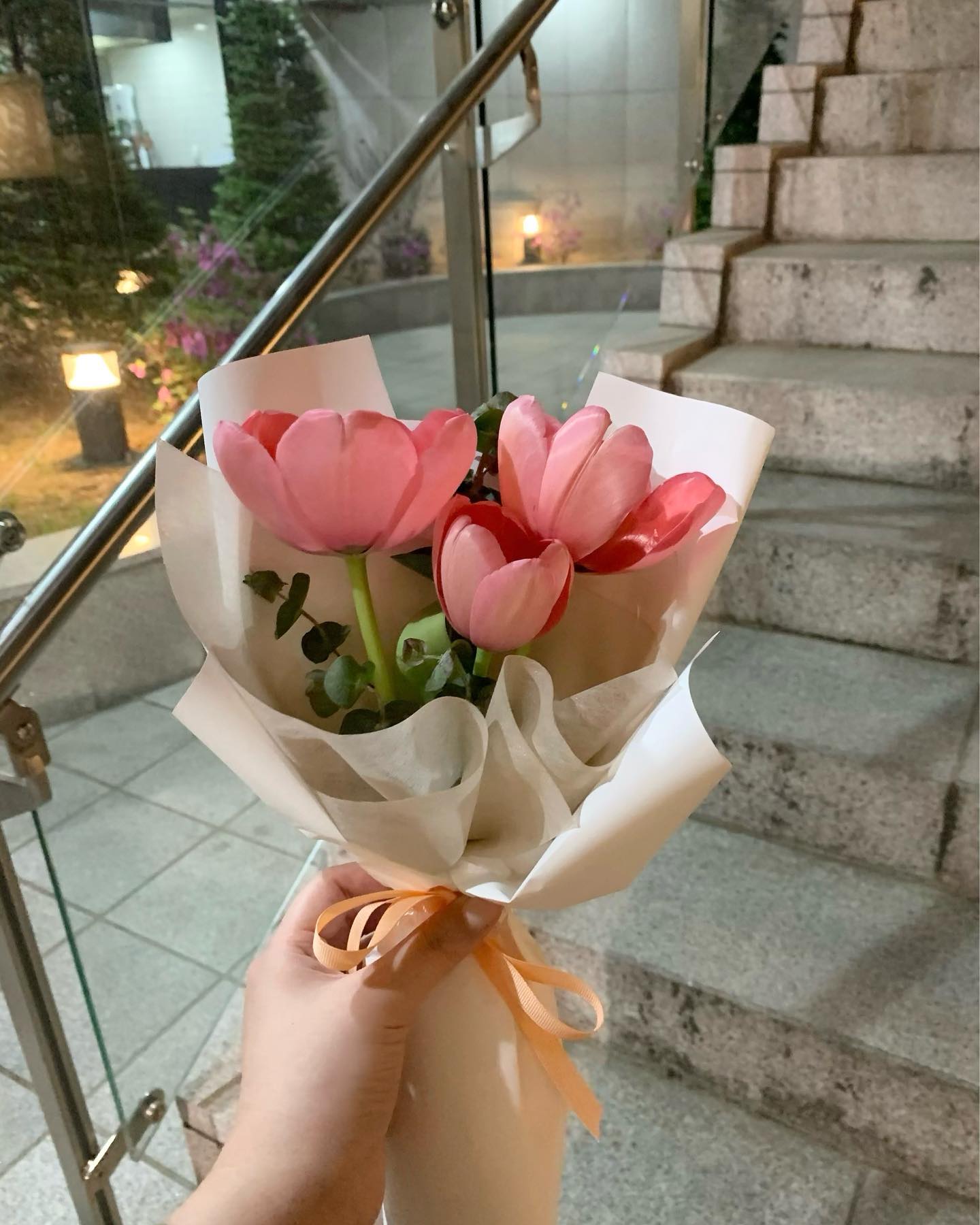예쁜 튤립🌷