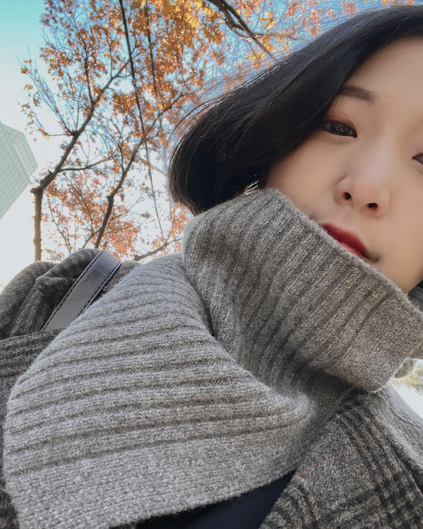 #첫줄 
아 맞다 님들.
저 결국 단발병 극복 못하고
다시 단발 됨
