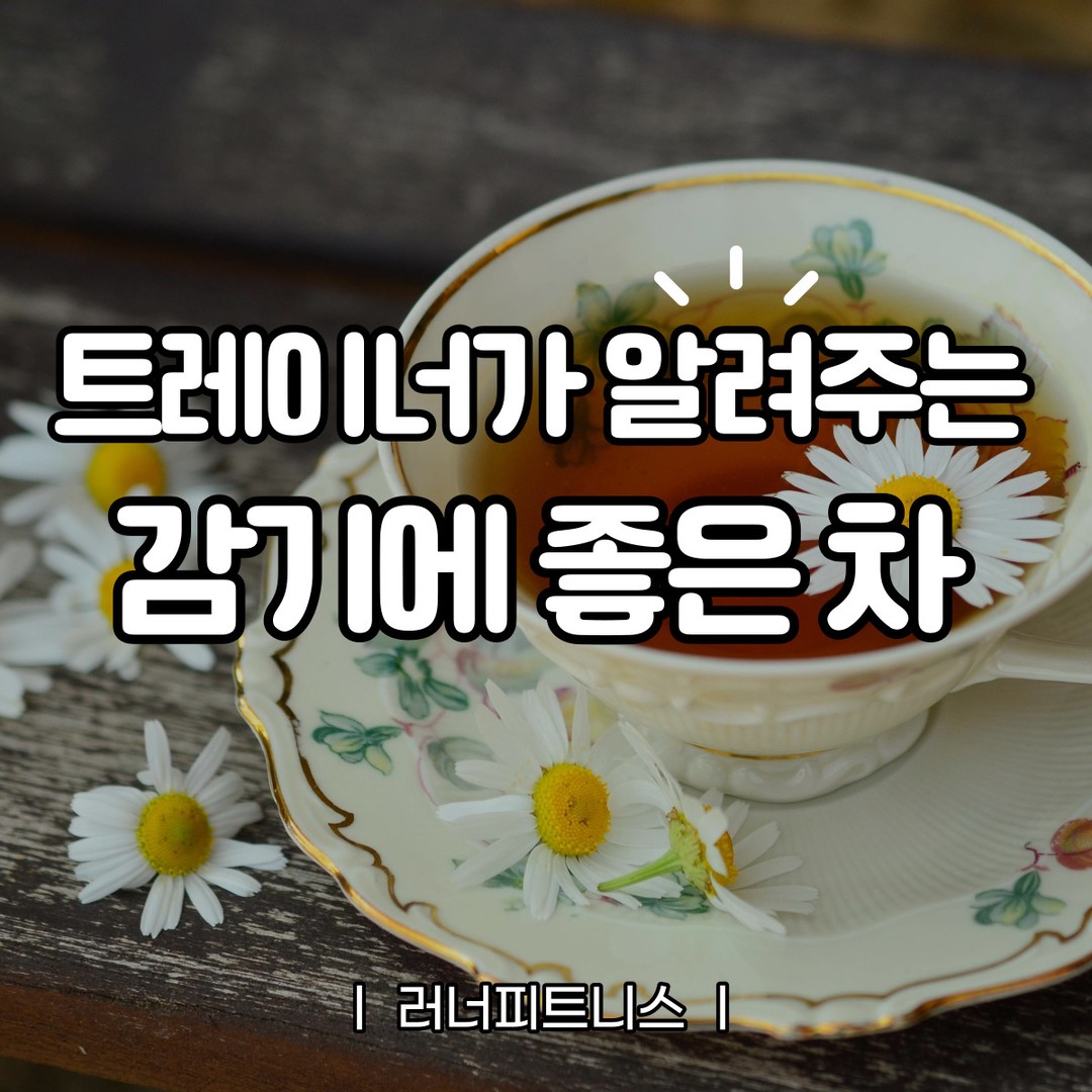 안녕하세요! 러너피트니스 김형진 트레이너 입니다.

일교차가 심해졌다가 요즘은 부쩍 추운 날씨가 이어지고 있어서 인지 감기로 고생하시는 회원님들이 급증했는데요. 

감기처럼 몸이 피곤하고 안 좋을 때, 차 한잔은 정말로 위안이 되는 법이죠. 그래서 오늘은 감기에 좋은 차 3가지를 소개해드릴게요 :)

🎇생강차
생강은 항염 작용과 면역력 향상에 도움을 주는 성분이 풍부하게 포함되어 있어 감기 증상을 완화시켜줍니다. 생강을 슬라이스하여 끓는 물에 넣고 10-15분간 우려내어 드시면 됩니다.
​
🍋레몬차
레몬에는 비타민 C가 풍부하게 함유되어 있어 면역력을 높여주는 효과 있습니다. 뜨거운 물에 레몬 주스를 타서 꿀과 함께 섞어 마시면 감기 증상을 완화시킬 수 있습니다.

🍵녹차
녹차에는 항산화 작용과 면역력 증진에 도움을 주는 다양한 성분들이 들어있습니다. 또한, 녹차에는 살균 작용을 가진 카네킨이 포함되어있어 감기를 예방하는 데 도움을 줍니다. 꿇는 물에 녹차를 우려내어 드시면됩니다.
-
감기에 걸리면서 기운이 없을 때, 이 차들은 몸을 힘이 나게 해주는데 도움을 줄 것입니다. 감기에 효과적인 차를 마시면서 몸도 편안하게 쉬어갈 수 있을 거예요. 감기 예방을 위해서라도 이 차들을 꾸준히 마셔보세요
-
포스팅이 도움이 되었기를 바라며 감기에 건강한 날들을 보내시기 바랍니다! :)
👇러너피트니스 가입시 혜택👇
👕운동복, 수건 무료
💦샴푸, 바디워시 무료
🚘무료 주차 가능
🧖🏻개인 독채 샤워실
🏋️‍♀️회원 차별없는 성실한 강사진!
.

.

.

💎자세한 사항은 편하게 문의 주세요💎

평일 : 07:00 - 23:50
토요일 : 10:00 - 19:50

𝐊𝐚𝐤𝐚𝐨: 러너피트니스
𝐓𝐞𝐥: 02.822.1602
𝐀𝐝𝐝: 서울시 동작구 양녕로 170, 홈플러스 B1