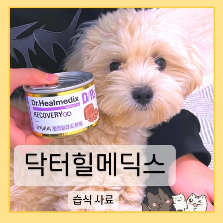 우리 강아지 영양 가득 보양식, 닥터힐메딕스 습식 캔 체험단 후기