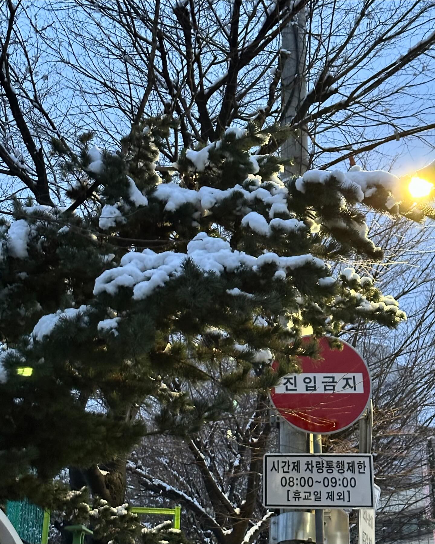 나 이래서 겨울 좋아했지 ☃️