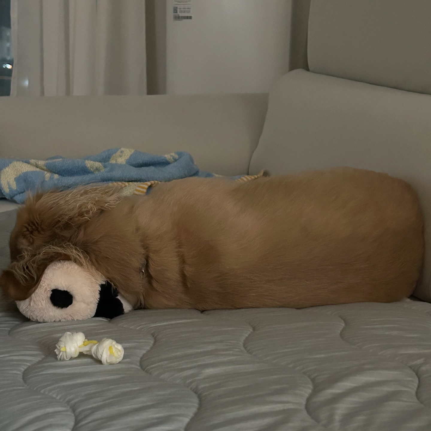 🐼➿
누나가 베개 사죳짜나 어따두고 루이바오를 찌부시키니