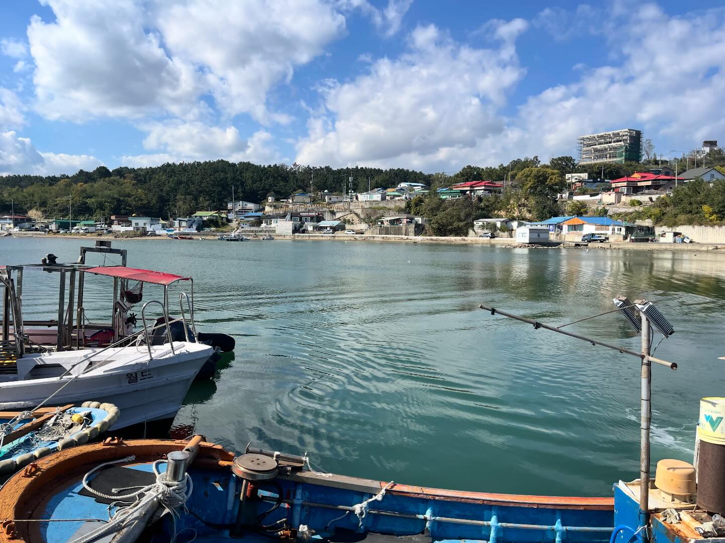 #🤿#다이빙#다린이🐙🐟#포항