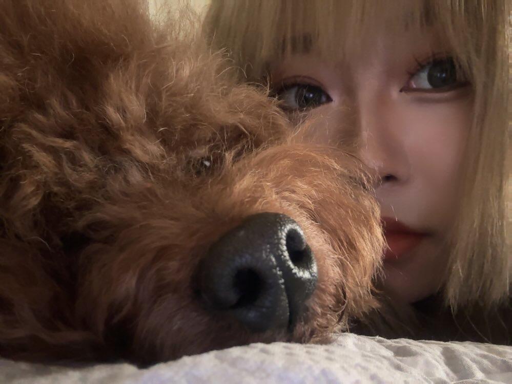 아무말이나 써봐.