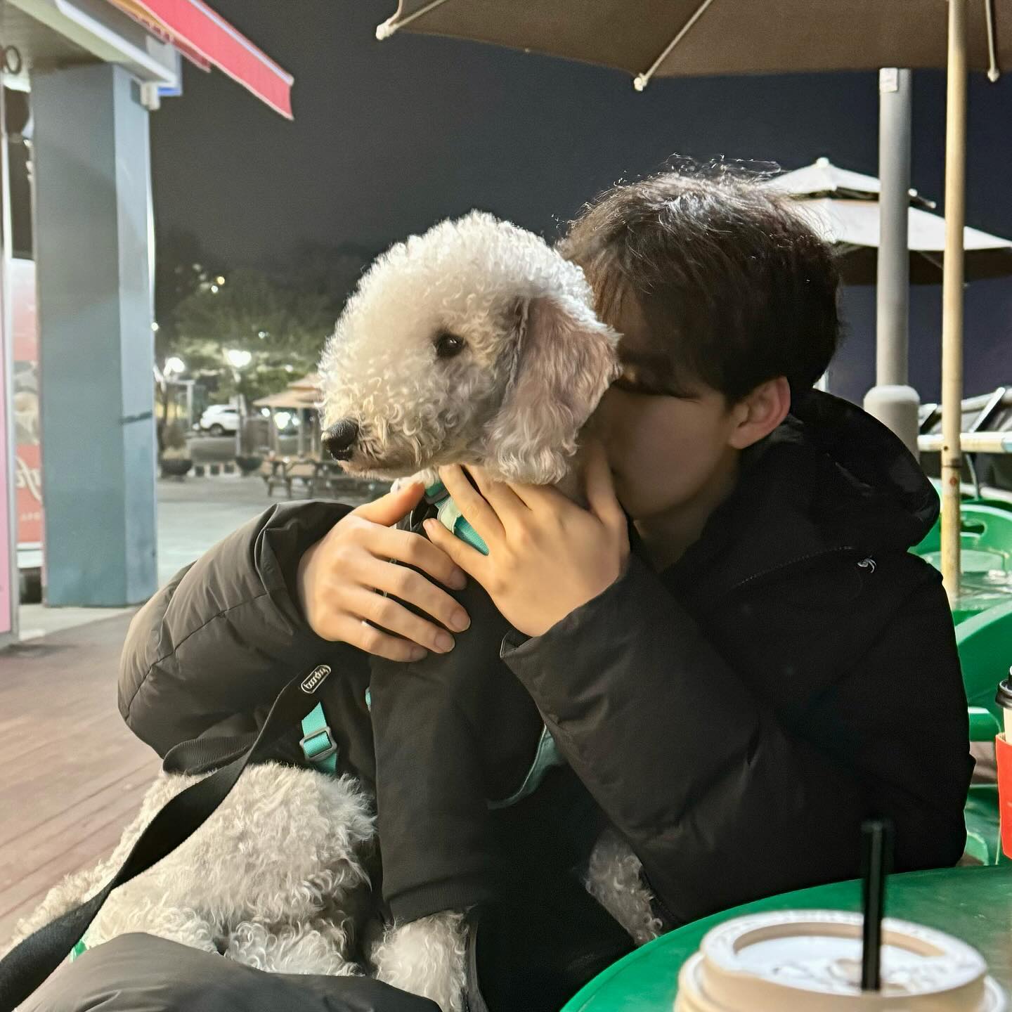 레오산책
