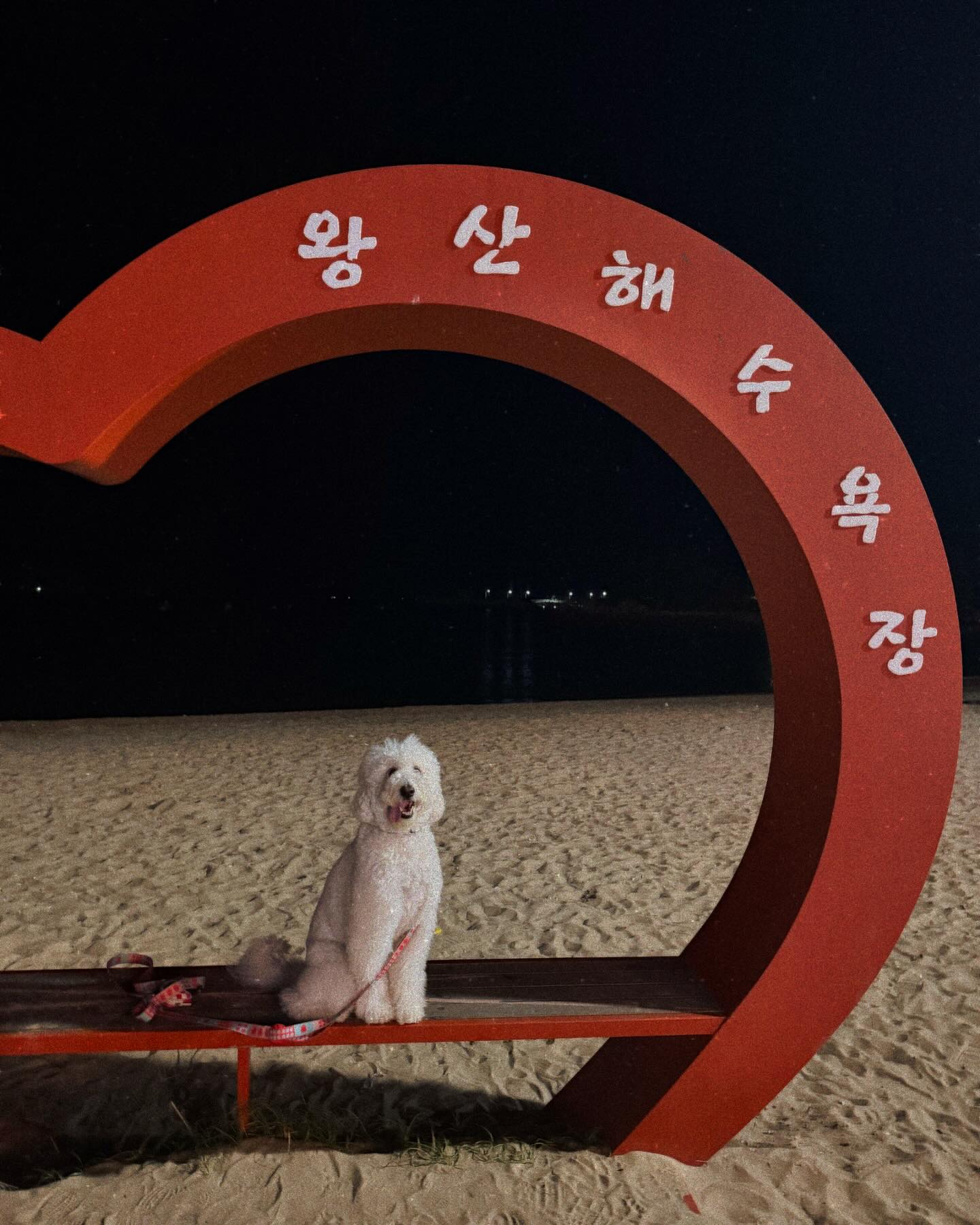 -
퇴근 30분 전에 갑자기 바다 보고싶은거 어떤뒈!!!!
.
#다음은낮에오자