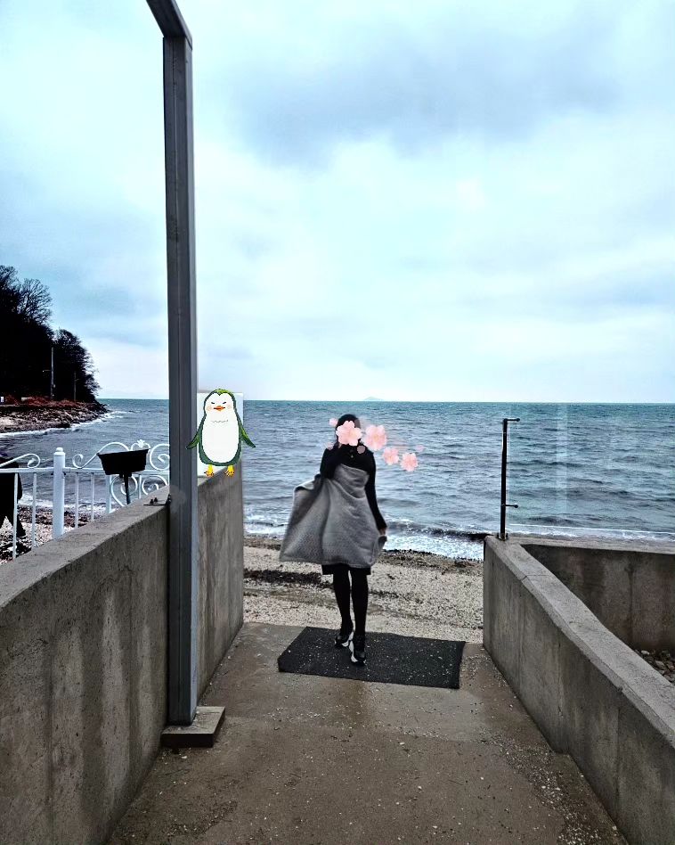 #흐린날씨 #츄워도 #오늘은 #기억해야지 #잇힝 #🌊

차디찬 바람에 맞서서,
사진 찍어줘서 고마옹~ 🎀

듬직한 현이랑 진이~ 🧚‍♀️