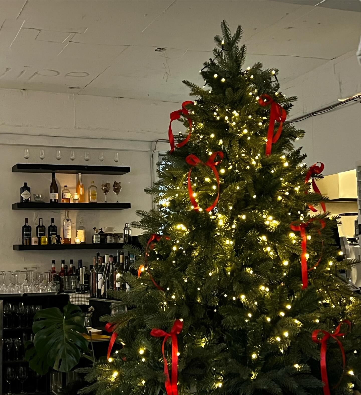 𝑴𝒆𝒓𝒓𝒚 𝑪𝒉𝒓𝒊𝒔𝒕𝒎𝒂𝒔 🎄