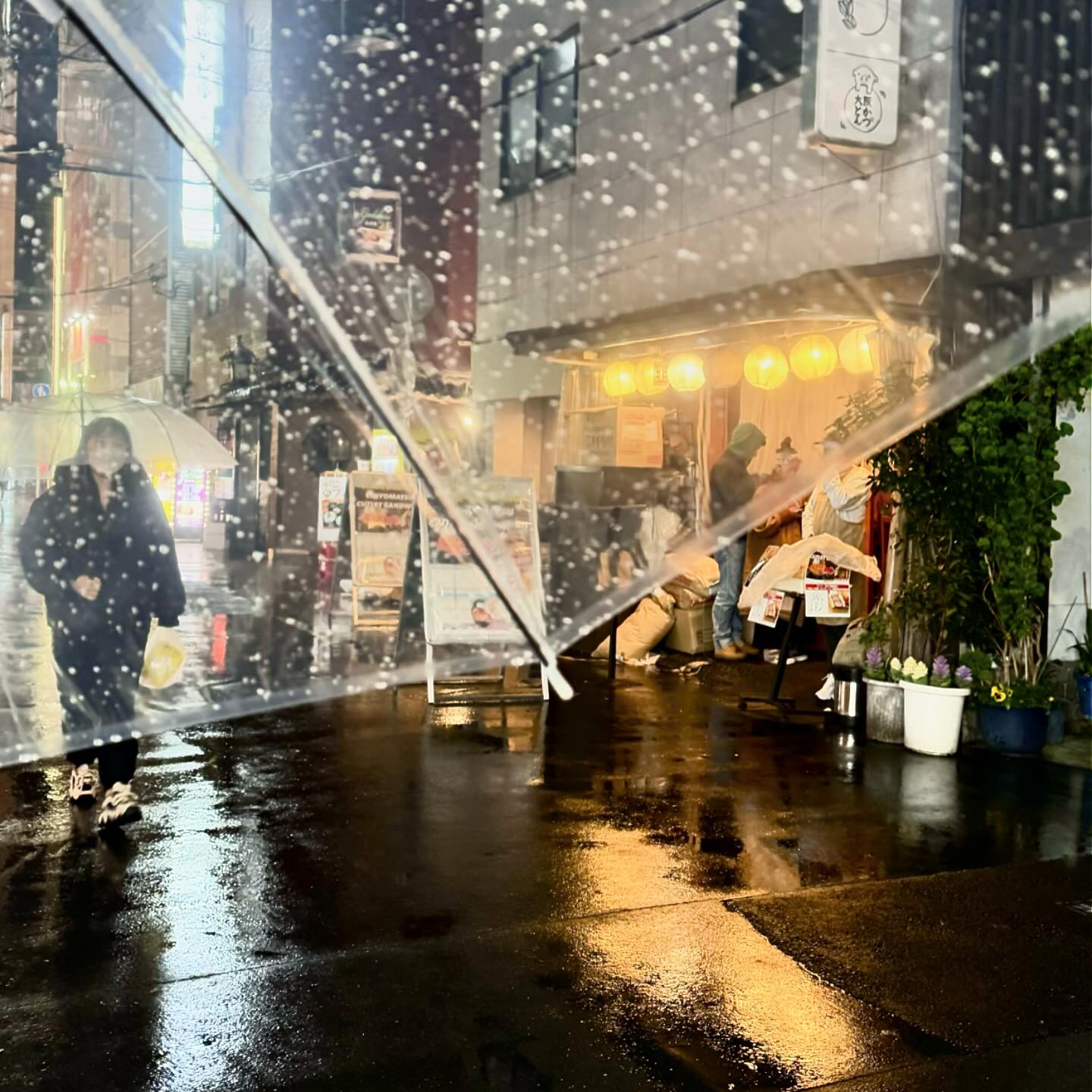 비오는🇯🇵