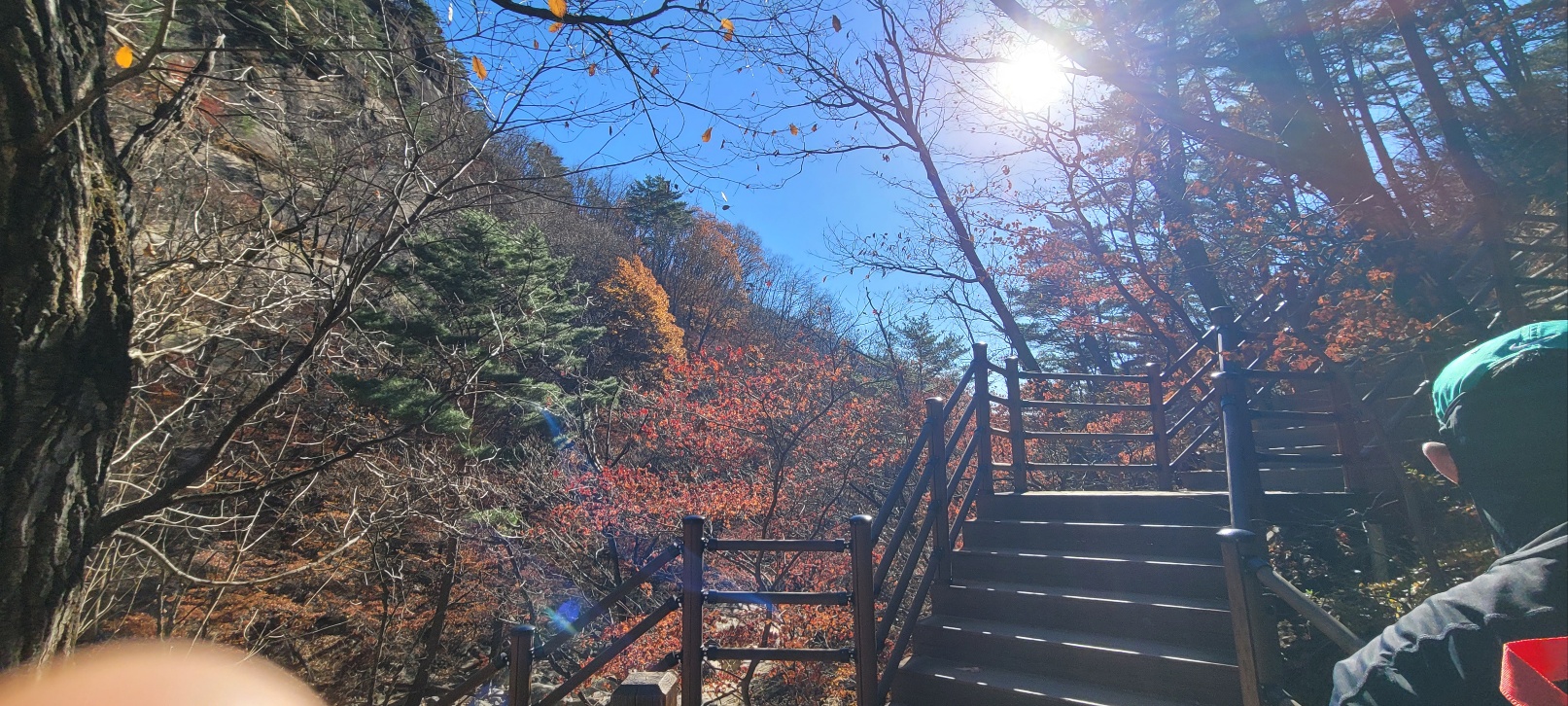 콘텐츠