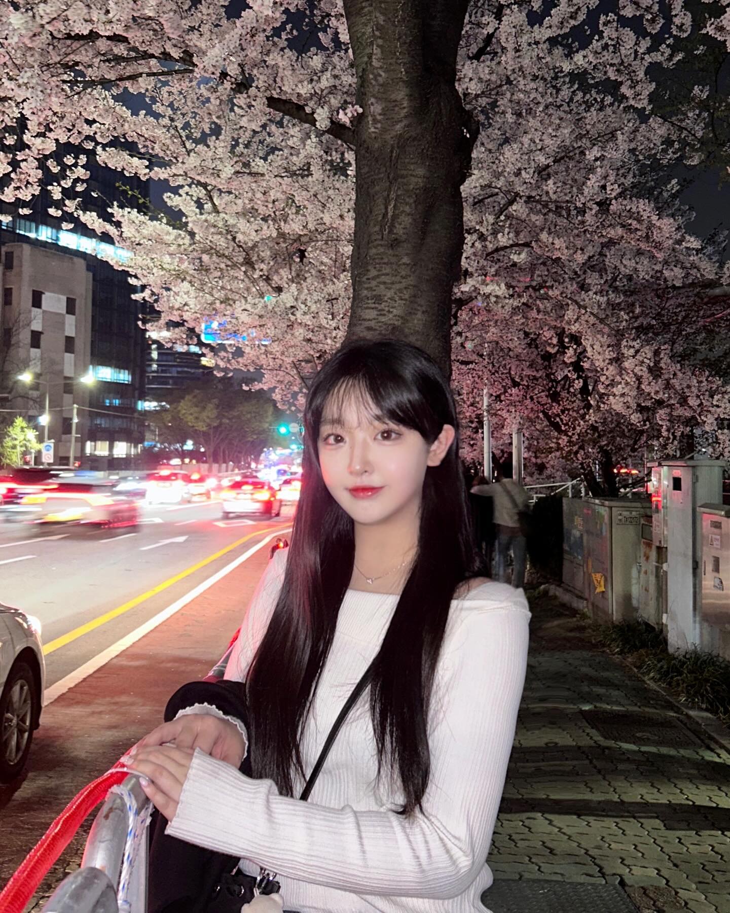 꽃 피면 구경하러 바글바글 나오는 사람들 다 너무 낭만있고 귀여워 ⸝⸝ ᷇࿀ ᷆⸝⸝