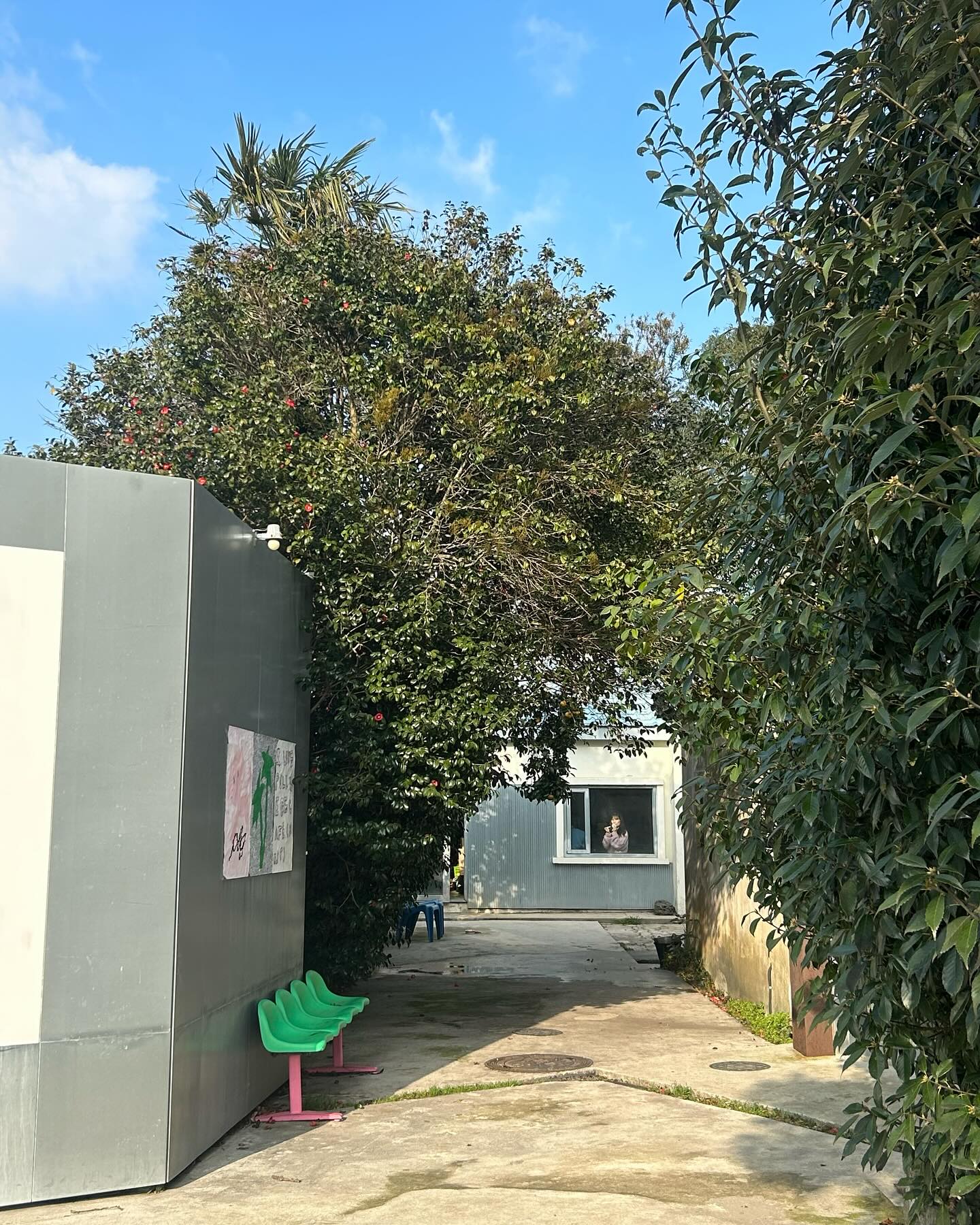 콘텐츠