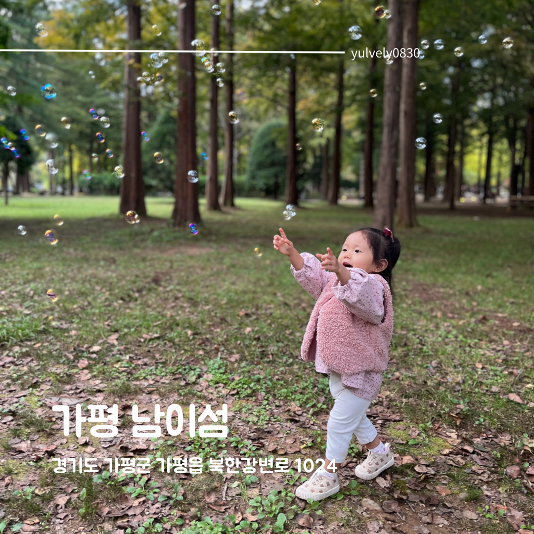 #남이섬 #남이섬아기랑

요즘같은 날씨에 가기 좋은 남이섬!
주말에 아이들 에너지도 빼고싶고 단풍도 보고싶다면 남이섬 추천!

배탈때부터 신나하더니 비눗방울 꺼내자마자 엄청 신나버린 아이들..ㅋㅋ

예쁘게 사진 찍어준 다인이네한테 감사하며 
기온 오르는 낮시간에 가는걸 추천!

비눗방울은 꼭꼭 챙겨가시길 바래요~!

주차는 입차 전 카카오 T 등록하면 12시간에 4천원에 입장 가능합니다
입장권은 티몬이 제일 저렴했어요!

❤주소 : 경기도 가평군 가평읍 북한강변로 1024
❤영업시간 : 08:00 ~ 21:00
❤주차가능