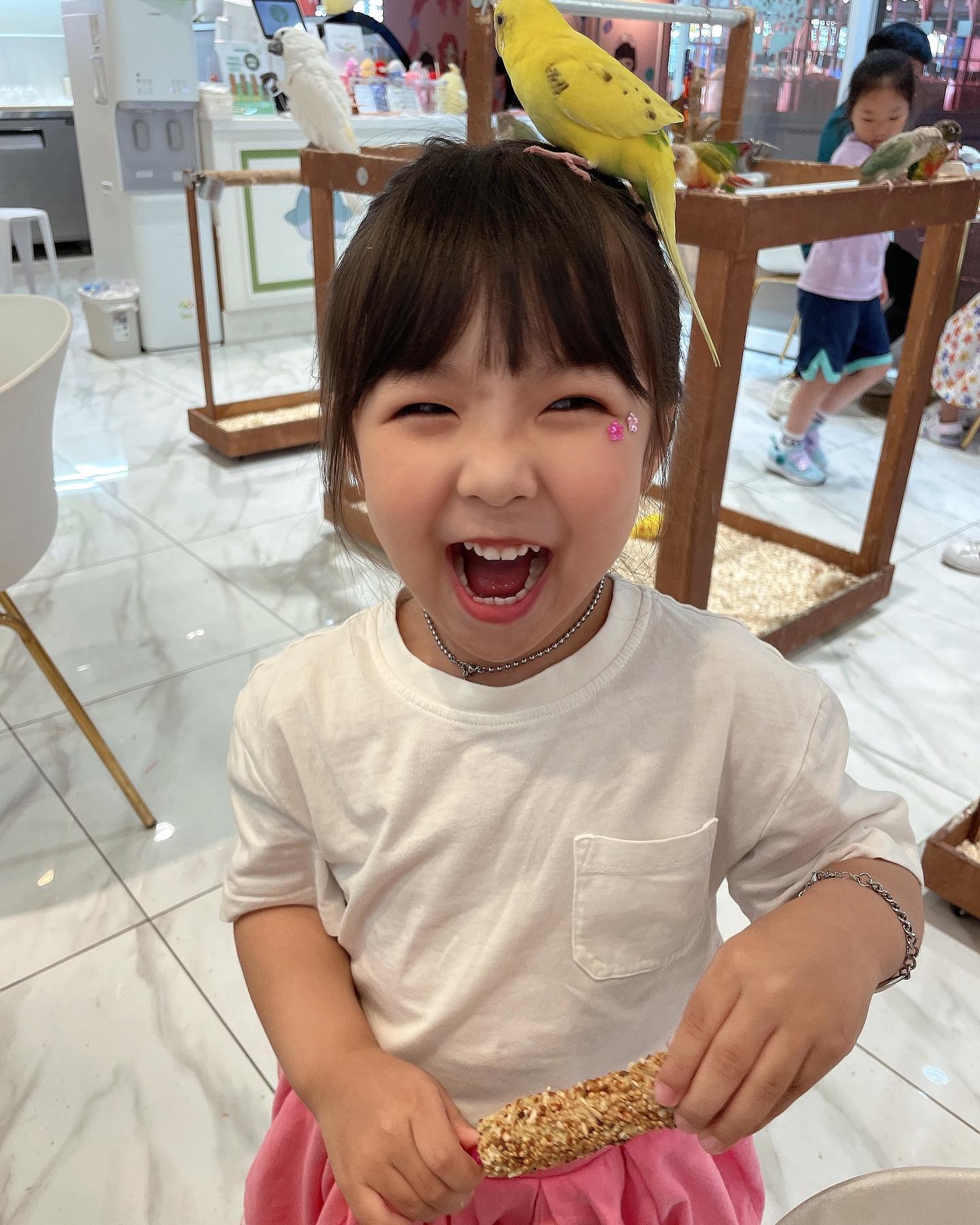 -
2023.06.25(일)
퐁이 태어난지 1619일 되는 날, 👧🏻
머리위에 #앵무새 올리고 신남 ㅋㅋㅋㅋ
뭔가 머리를 간질간질 하는것 같다고
얼른 내리랰ㅋㅋㅋㅋㅋㅋㅋㅋㅋㅋㅋㅋ
그래도 별로 안무서워하고 즐겨줘서 고마워 🫶🏻
#🦜 

#앵무새카페 #리프패럿 
lip_parrot_ 
-
-
🎀 #20190119 #AM1040 #3485g #A형 #49cm 🎀
#황금돼지띠 🐽
#딸랑구 #태명 #조리퐁
#딸스타그램 #딸바보 
#고양이 #공동육묘🐾 #개냥이 #뽀뽀 #쫍쫍 
#라이언 #라이언덕후 
#나만사랑하는 #내남자 #와이프바보 👍🏻👍🏻👍🏻
#우리가족 #사랑해
