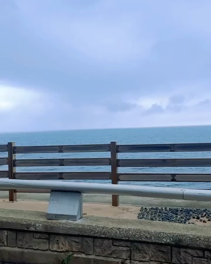 너무너무 늦게 올리는 6월 초 깡만 가득했던 삼척여행🤣
스노쿨링이 목적이였으나 너무 추워서 게만 잔뜩 구경하고 먹기만 배터지게 먹고 왔다...ㅋㅋ
덕분에 결혼하고 처음보내는 오빠 생일을 동생이랑 같이 축하해줄 수 있어서 더더욱 좋았던 6월의 첫단추🎊
.
.
.
.
.
#바다 #삼척 #바닷가 #여행 #일상 #삼척해수욕장 #쏠비치 #장호항 #스노쿨링 #여행사진