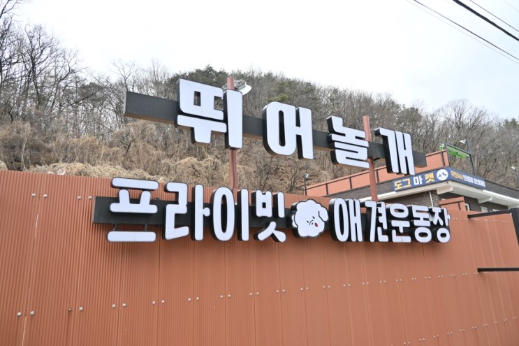 양평 “뛰어놀개“ 서울근교 애견 단독 운동장 후기