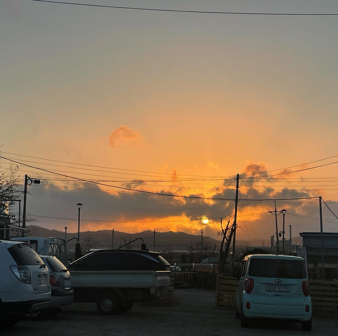 콘텐츠