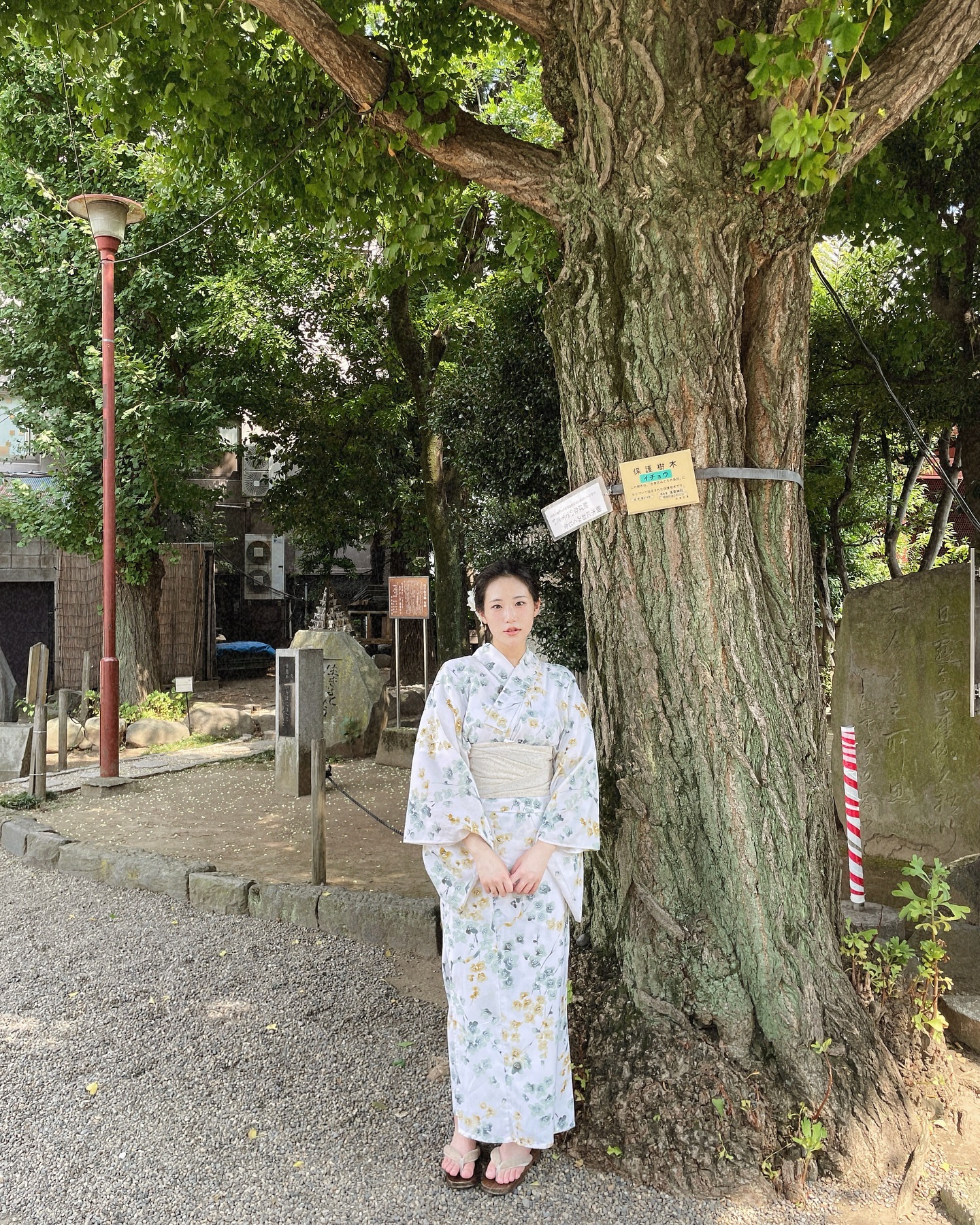 またねー