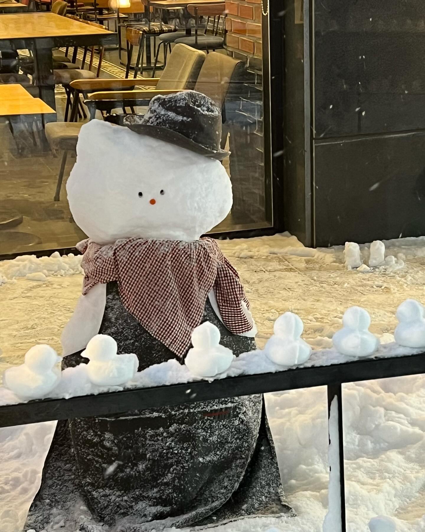 우당탕탕 1월의 겨울 ☃️🐱
and Happy Birthday Dad!