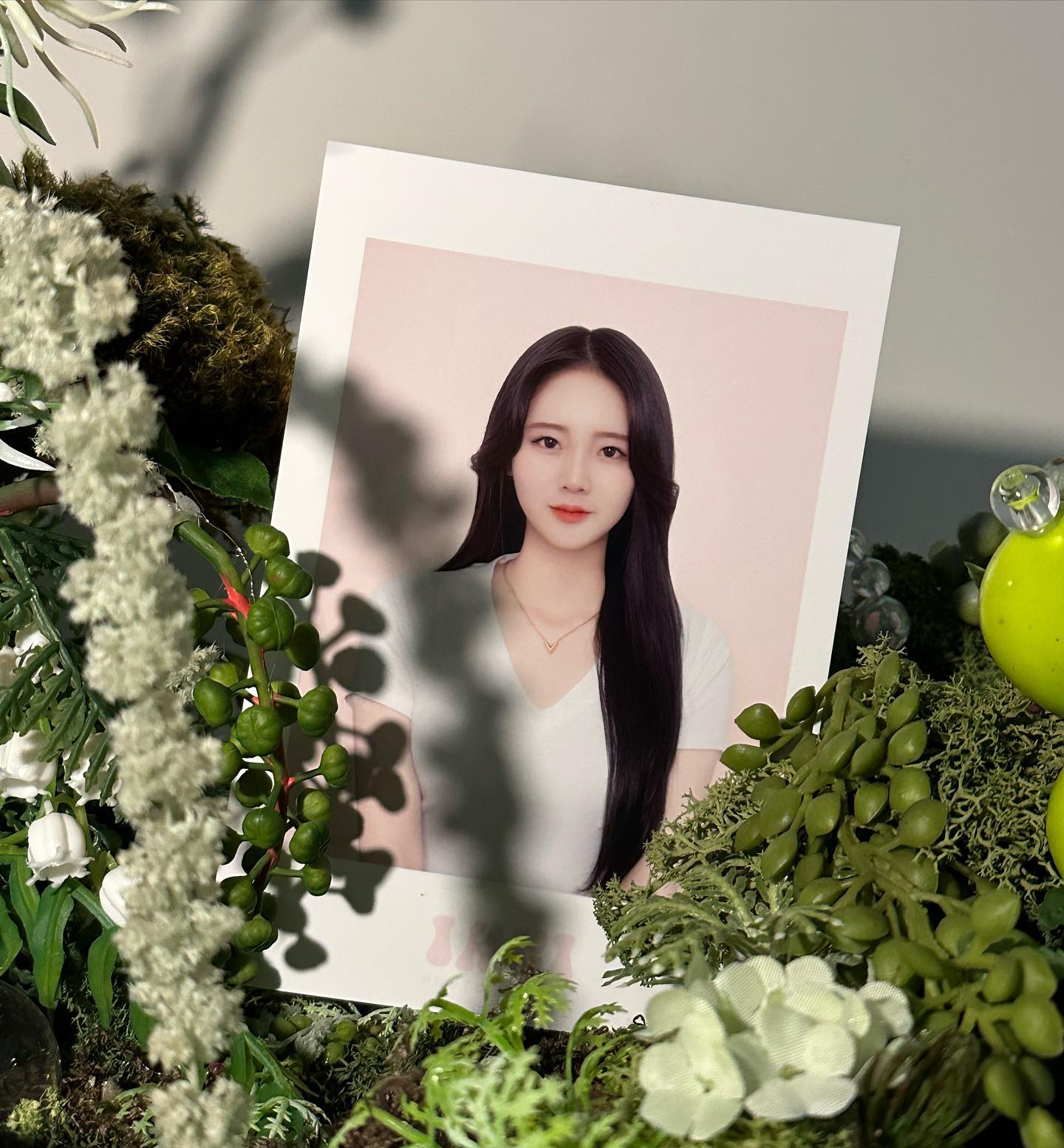 #울산이끼 #민증재발급 #울산삼산  이제 민증 사진교채좀 해볼까🤭