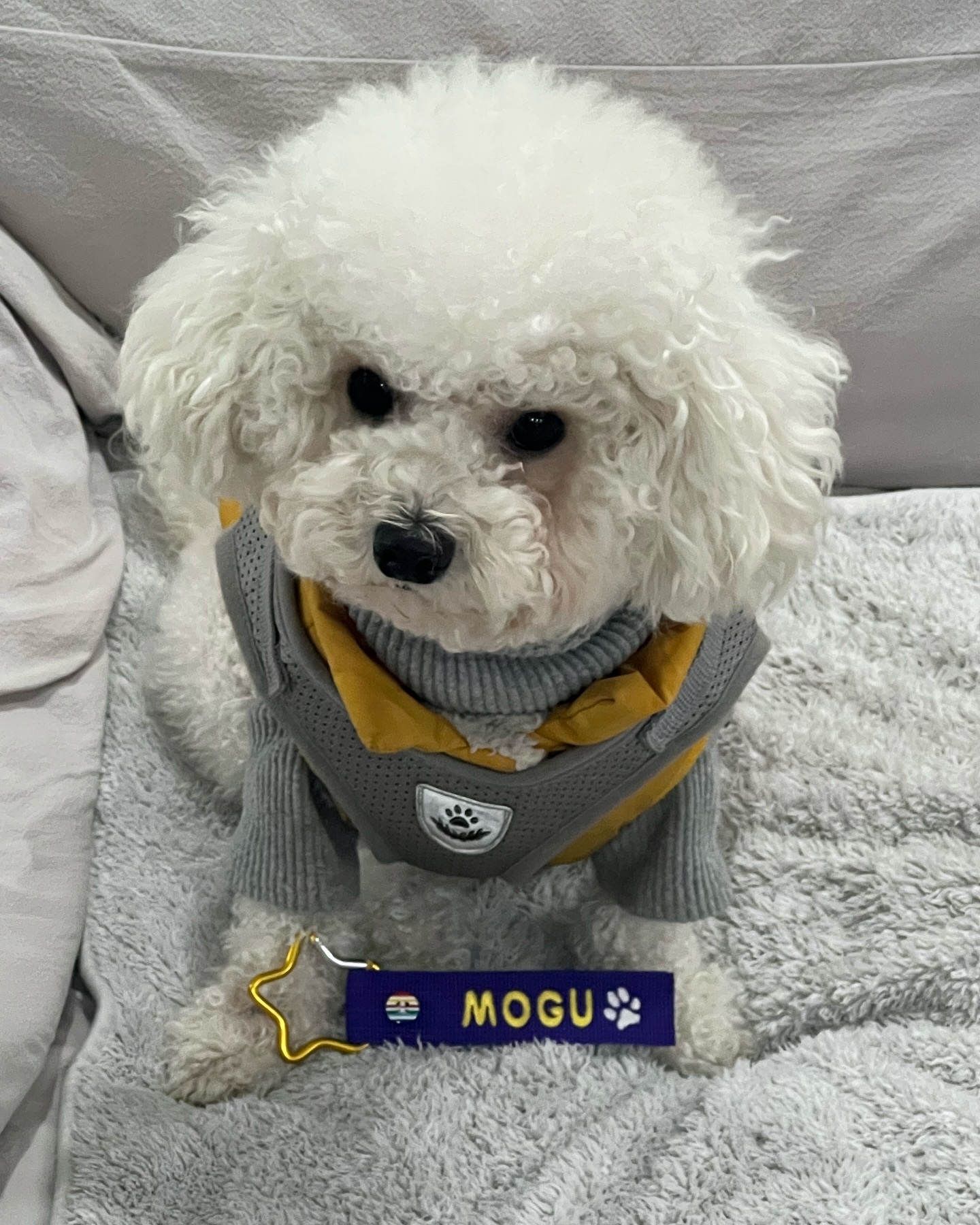 내가 사진찍기싫다고해짜나🫤
