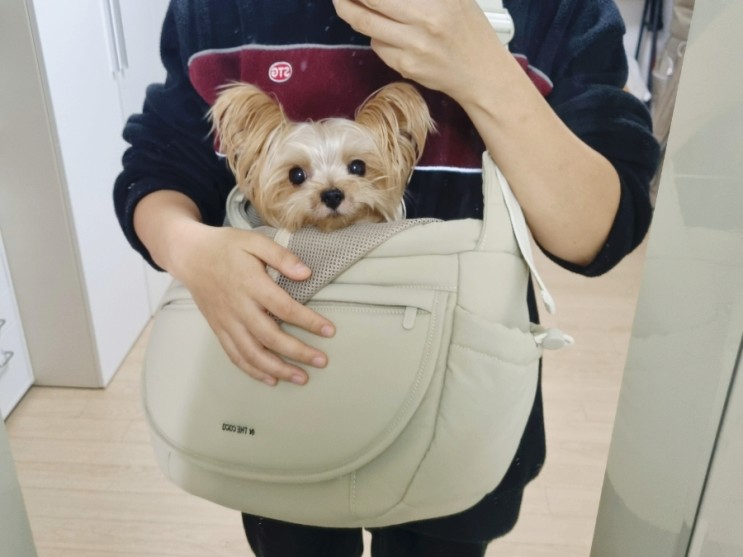 강아지슬링백 인더코코 푹신한데 안정감있는 반려견 이동가방
