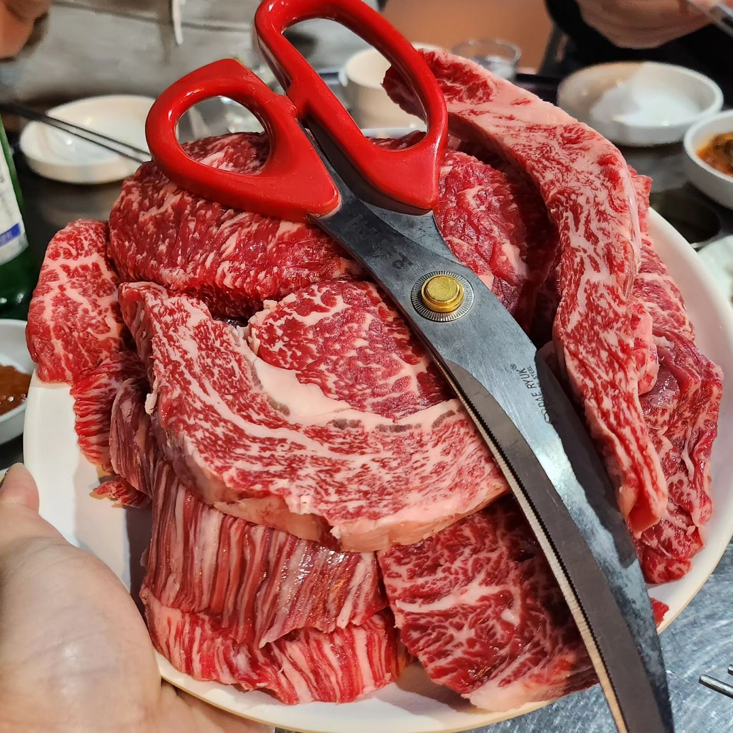 쭈엽이맛집 1.2kg!! + 육회 두개!!