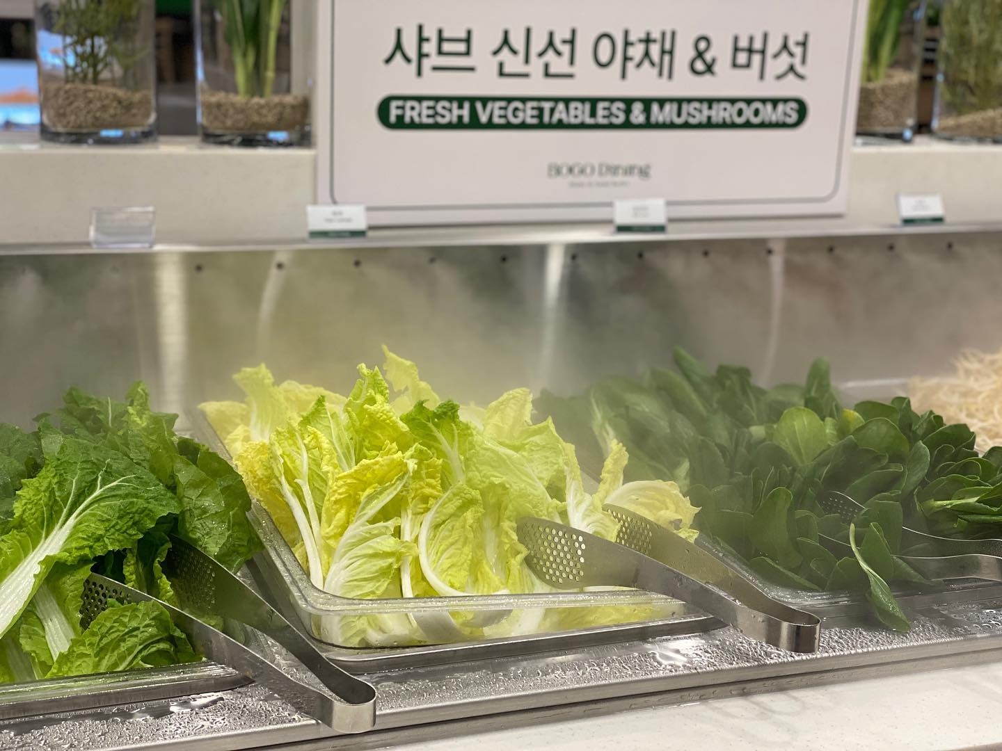 수원시청맛집 샤브샤브 월남쌈 신상맛집 보고다이닝

수원시청 맛집으로 
샤브샤브랑 월남쌈 무한리필 먹으러 방문

#협찬 #선팔 #맞팔 #수원맛집 #수원샤브샤브 #수원시청맛집
#인계동맛집 #인계동신상맛집 #보고다이닝 
#수원시청역맛집 #수원시청역월남쌈
#인계동월남쌈 #인계동샤브샤브 
#서이추  #서로이웃 #이웃추가  #서이추환영