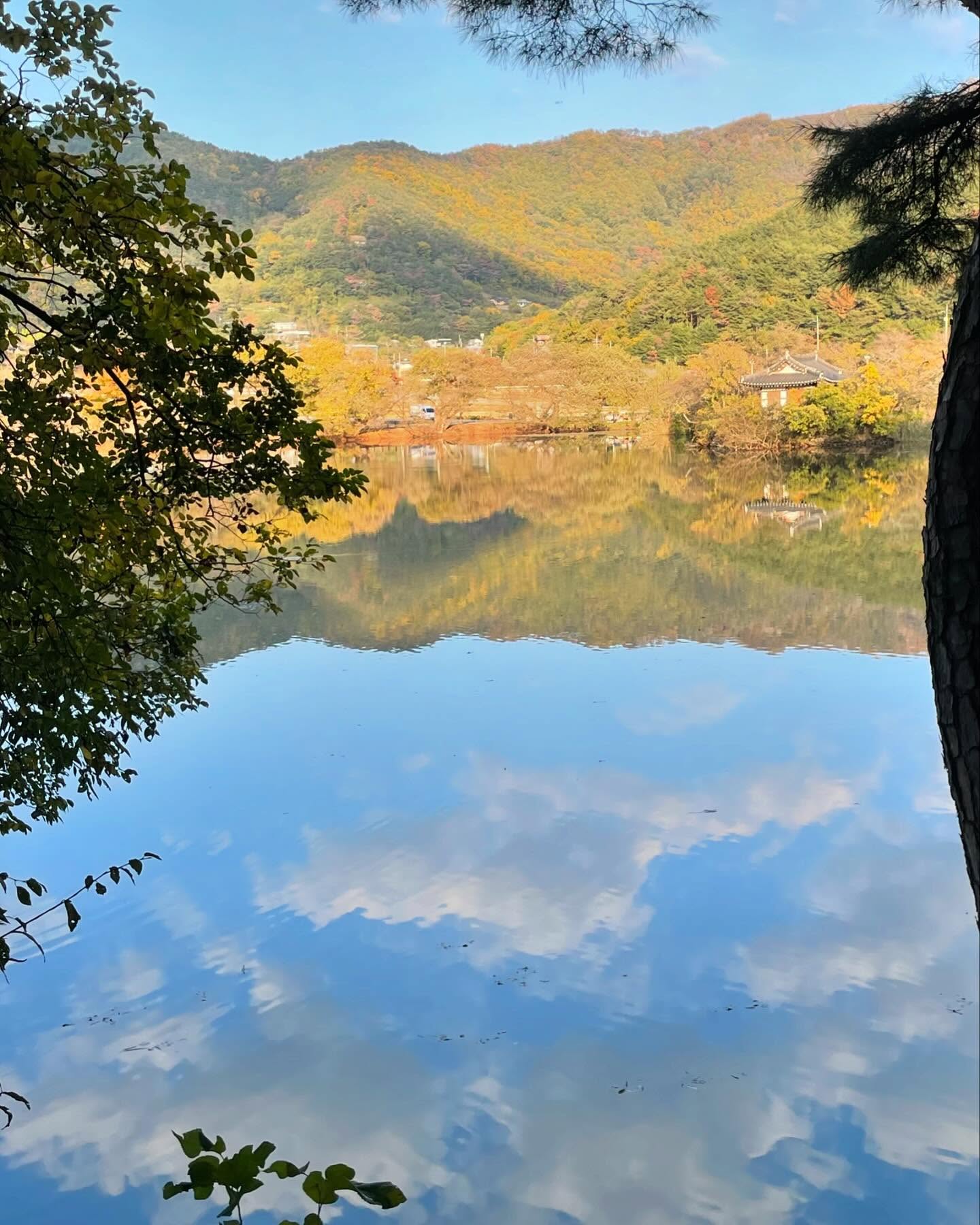 콘텐츠