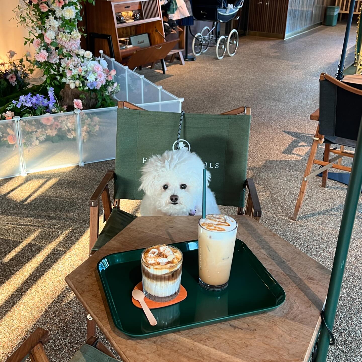 수영도 잘하는 콩비니💙💦