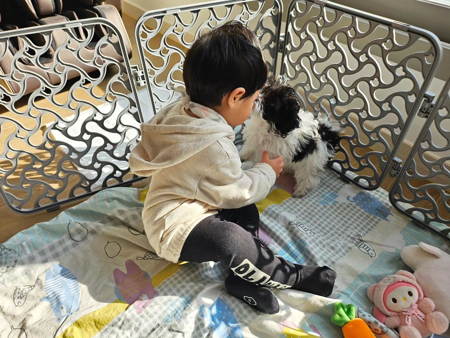 아기와 아기의 만남 🫶🏻
할부지 배코와는 상반된 포코의 텐션🥰