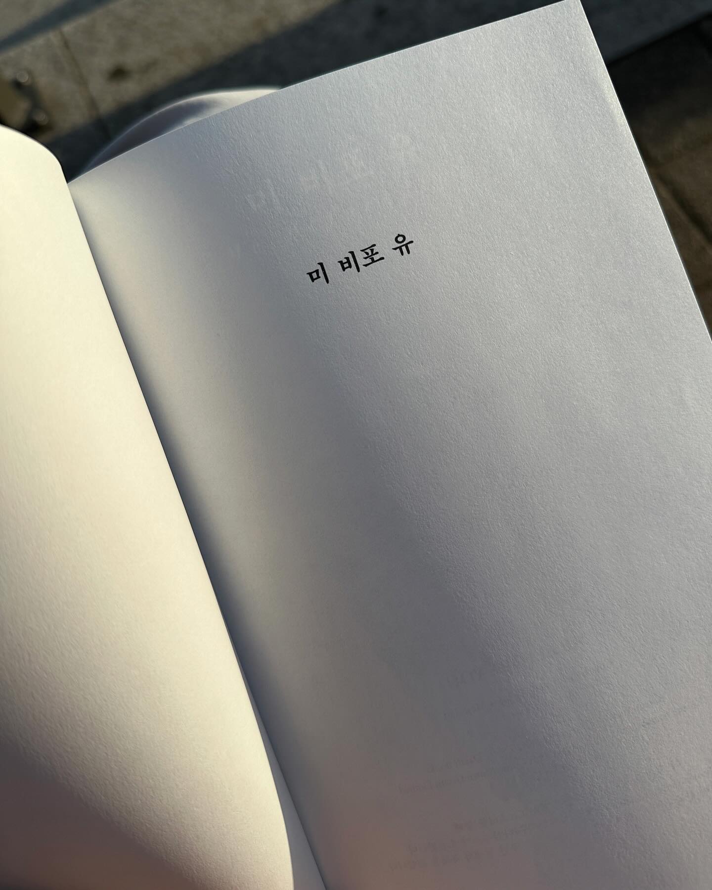 모든 걸 멀리 두니 비로소 보이는 것들