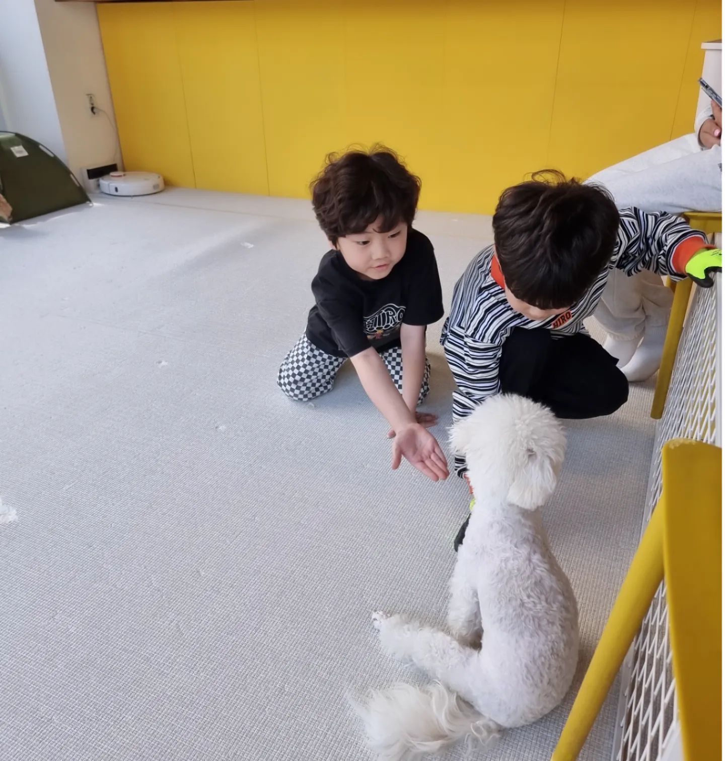 놀이터에서 친구랑 놀다가
급 꽁지로 고고
잘 놀다가 바닥에 헤딩해서
대성통곡😵‍💫

#다이나믹한하루 
#내수명줄어드는소리 
#아들아조심히놀자
#히로브라더스🏁